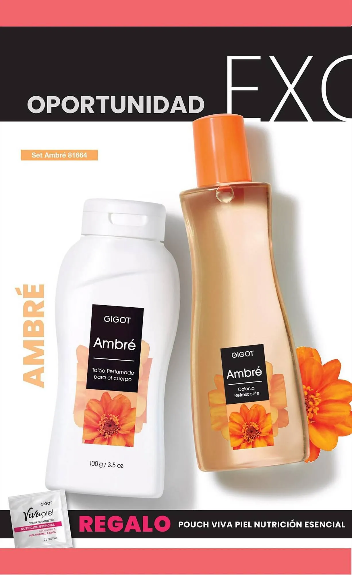 Ofertas de Catálogo Gigot 28 de agosto al 28 de septiembre 2023 - Página 88 del catálogo