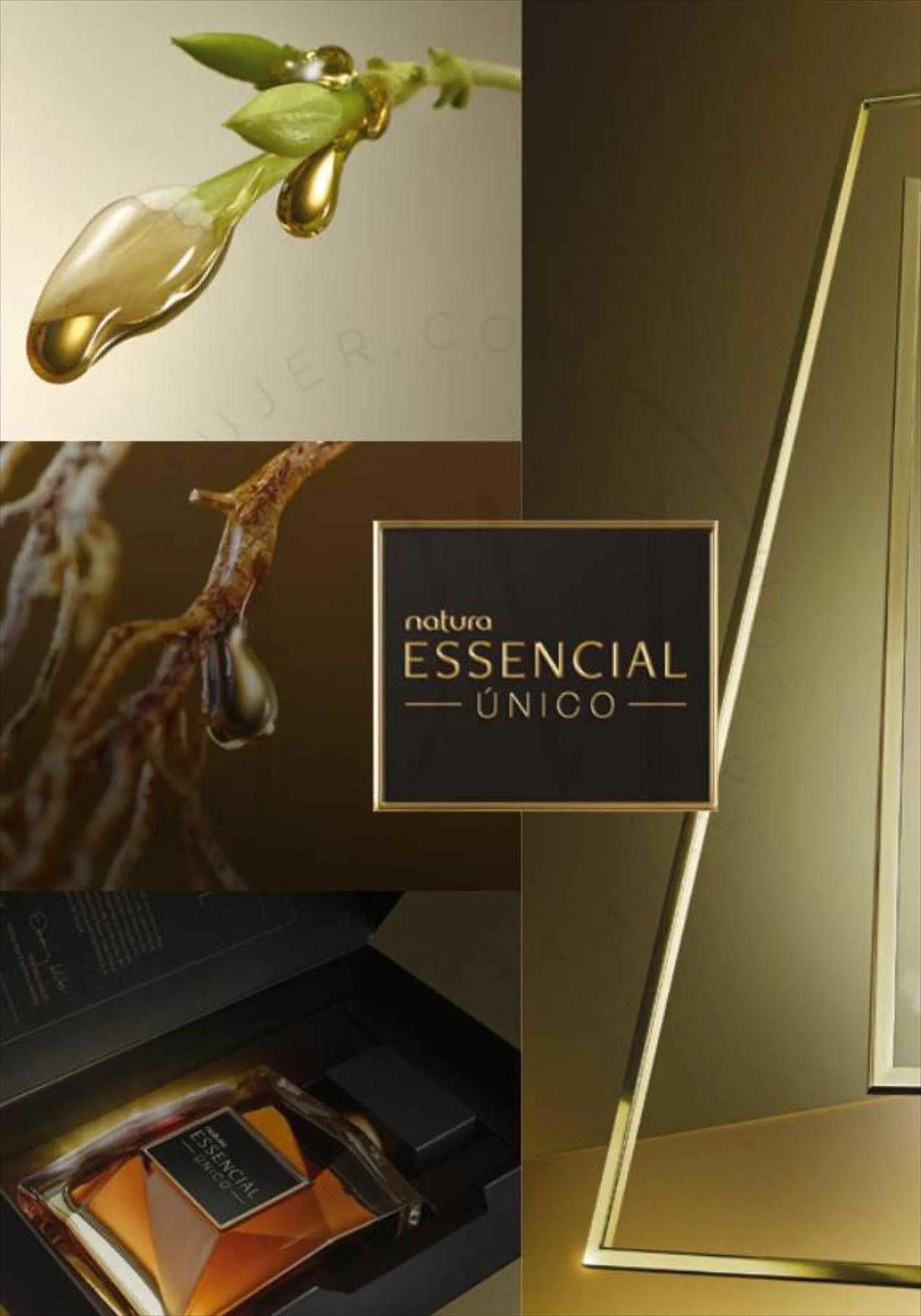 Ofertas de Catálogo Natura 6 de junio al 21 de agosto 2023 - Página 2 del catálogo