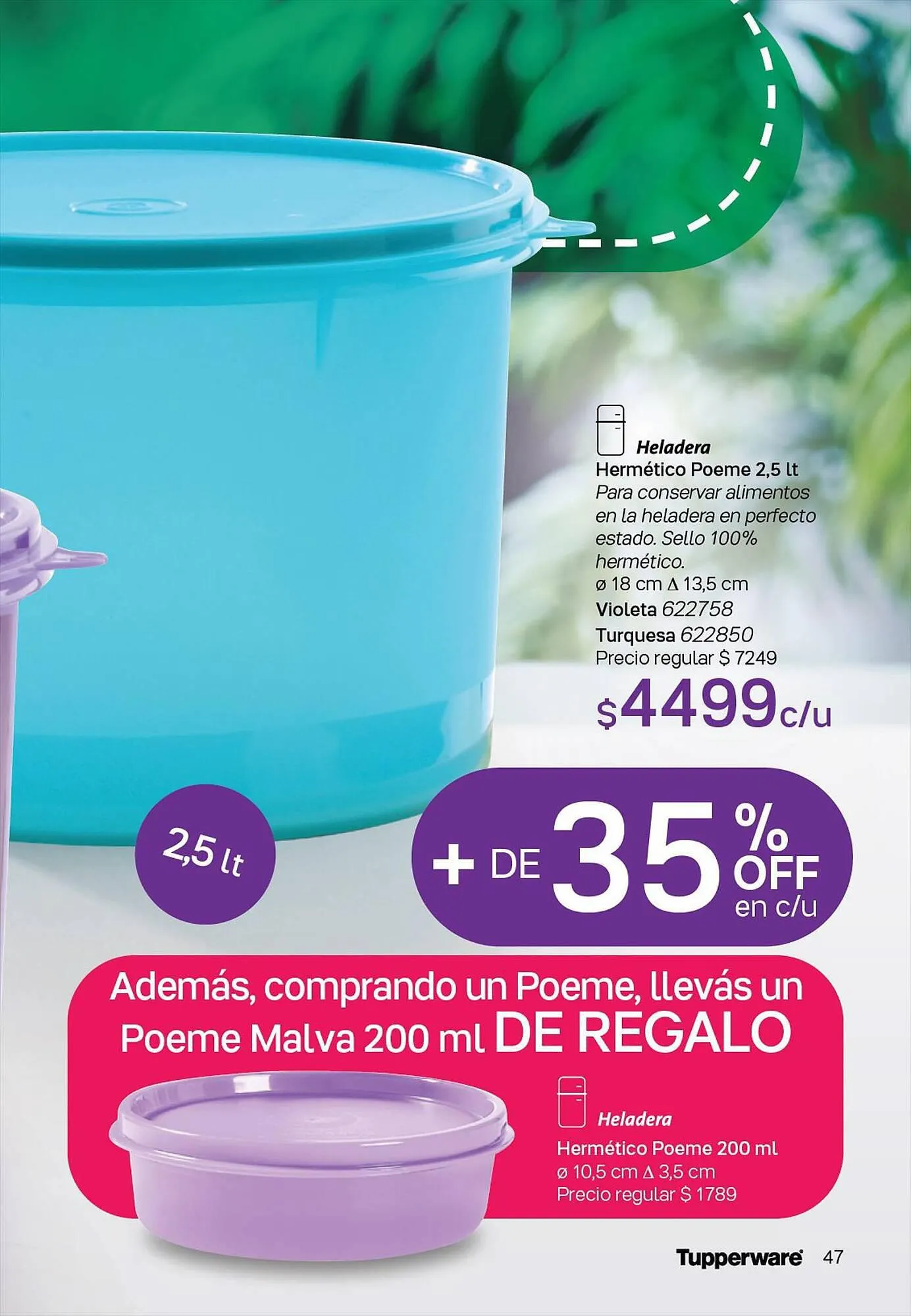 Ofertas de Catálogo Tupperware 25 de septiembre al 31 de octubre 2023 - Página 48 del catálogo