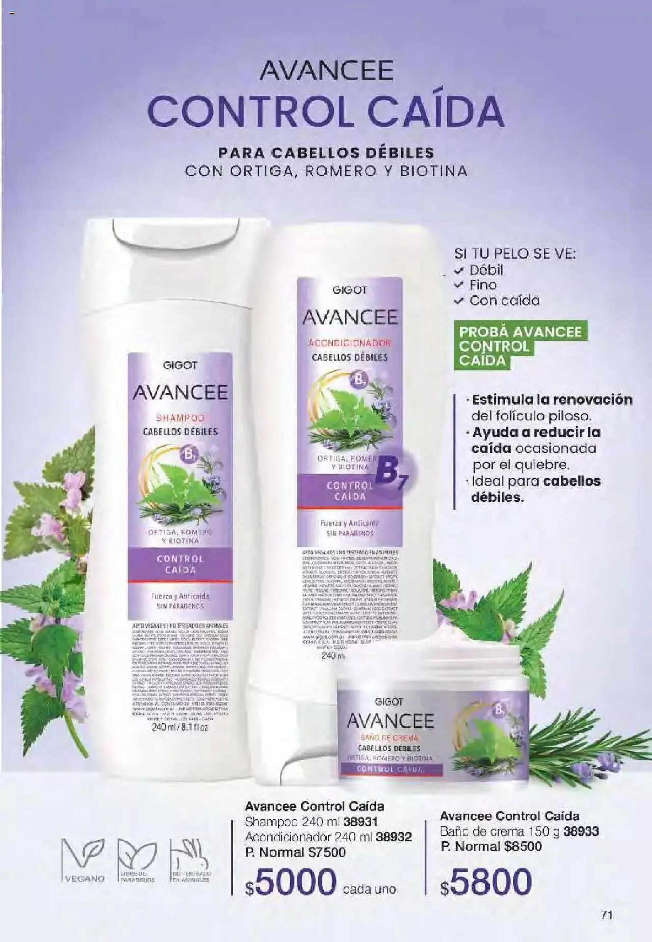 Ofertas de Gigot folleto 6 12 de marzo al 31 de diciembre 2024 - Página 71 del catálogo