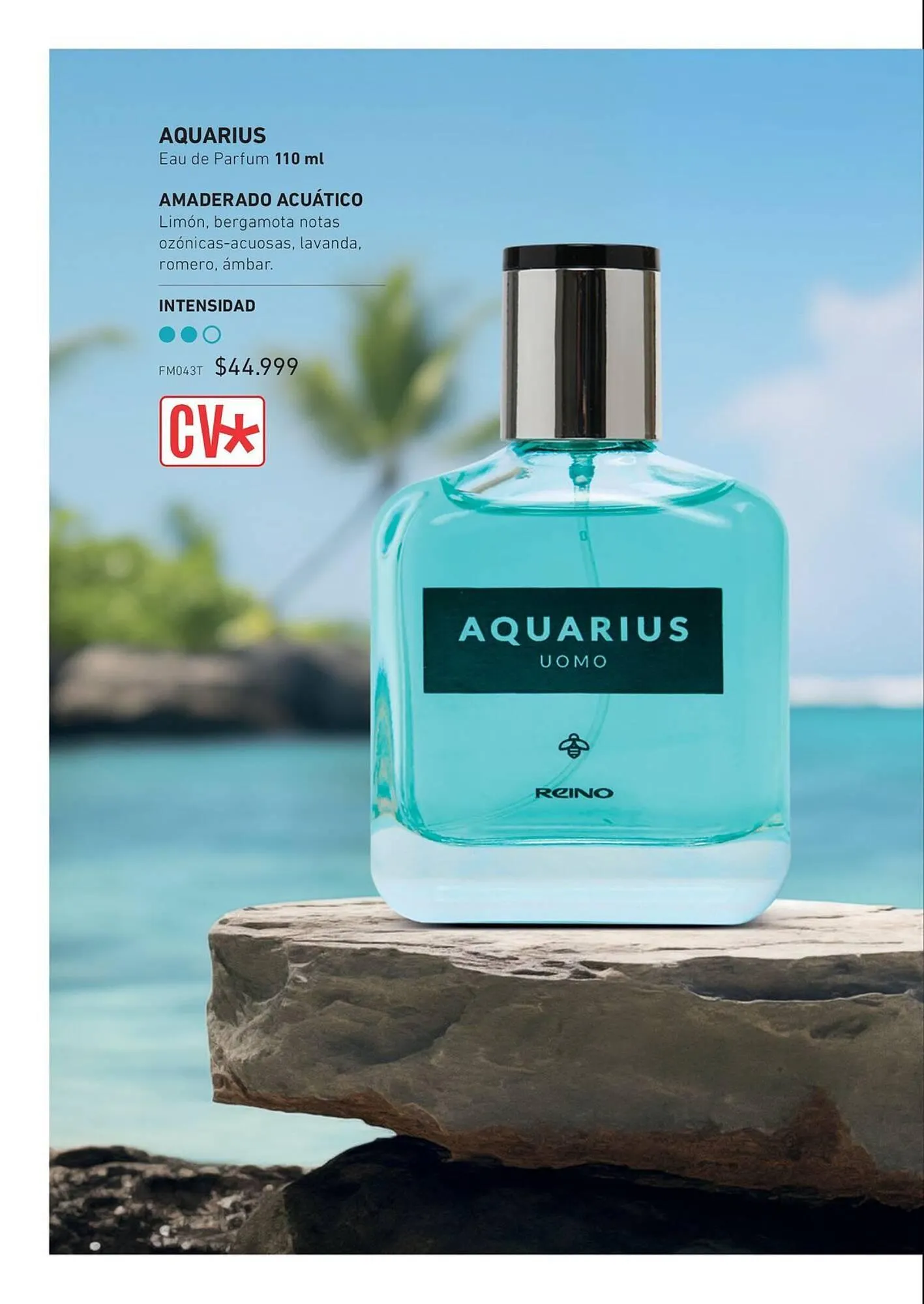 Ofertas de Catálogo Reino Cosmética 8 de mayo al 31 de mayo 2025 - Página 182 del catálogo