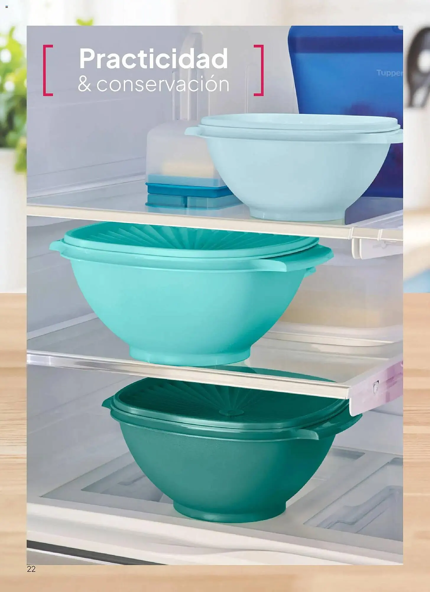 Ofertas de Folleto Tupperware 10 de noviembre al 24 de noviembre 2025 - Página 22 del catálogo