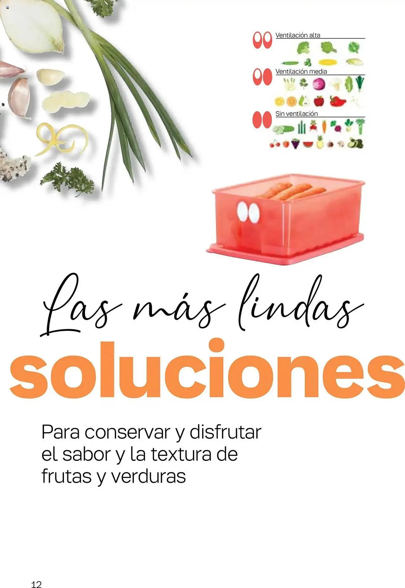 Ofertas de Catálogo Tupperware 9 de julio al 23 de julio 2025 - Página 13 del catálogo