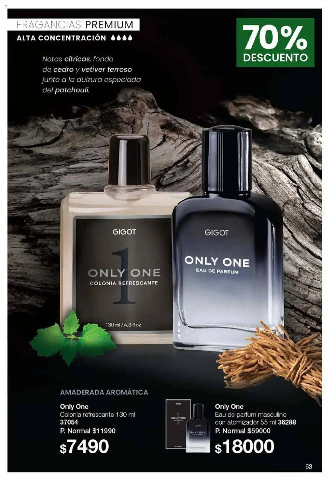 Ofertas de Catálogo Gigot 29 de mayo al 12 de junio 2025 - Página 75 del catálogo