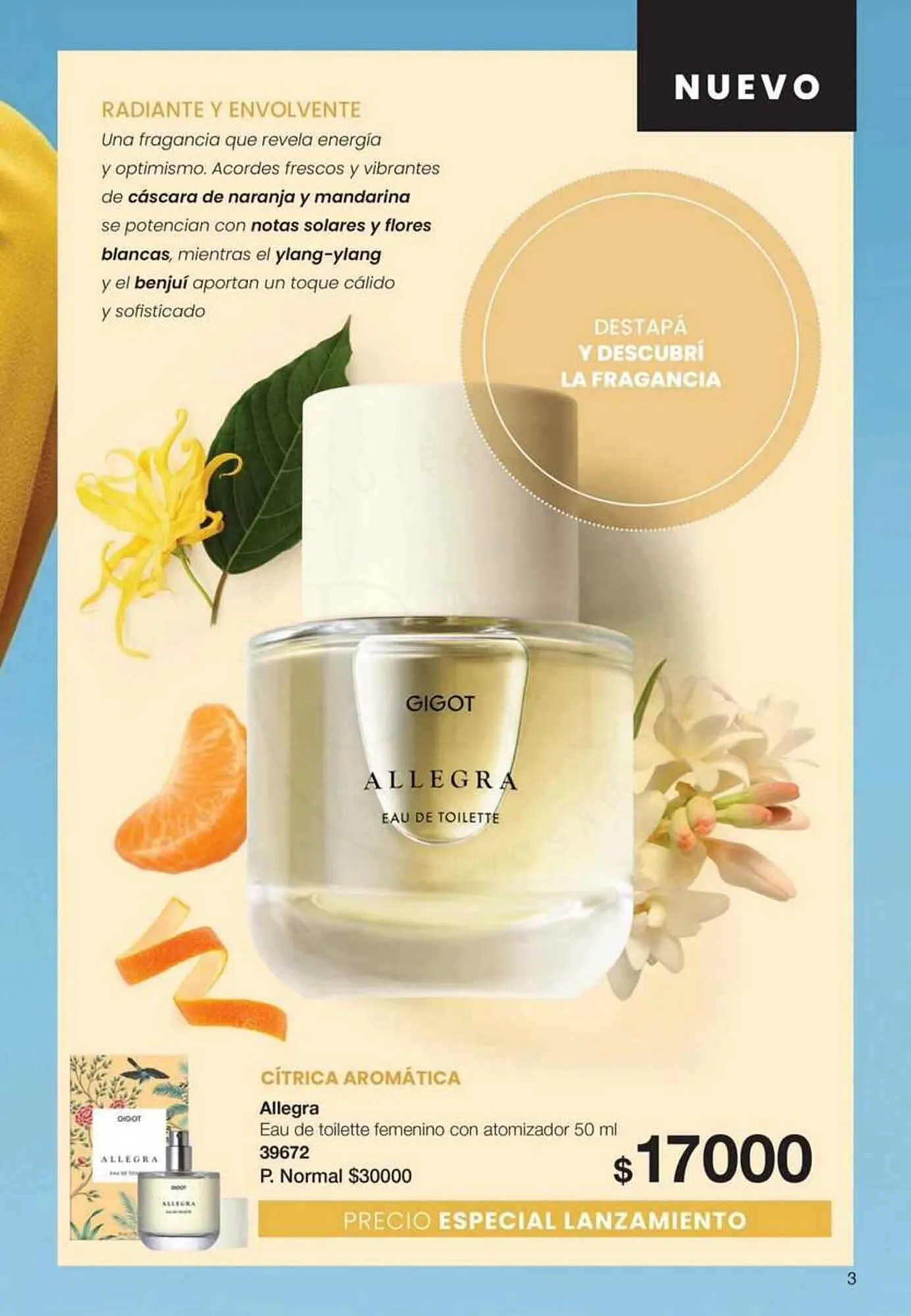 Ofertas de Catálogo Gigot 1 de noviembre al 30 de noviembre 2025 - Página 3 del catálogo