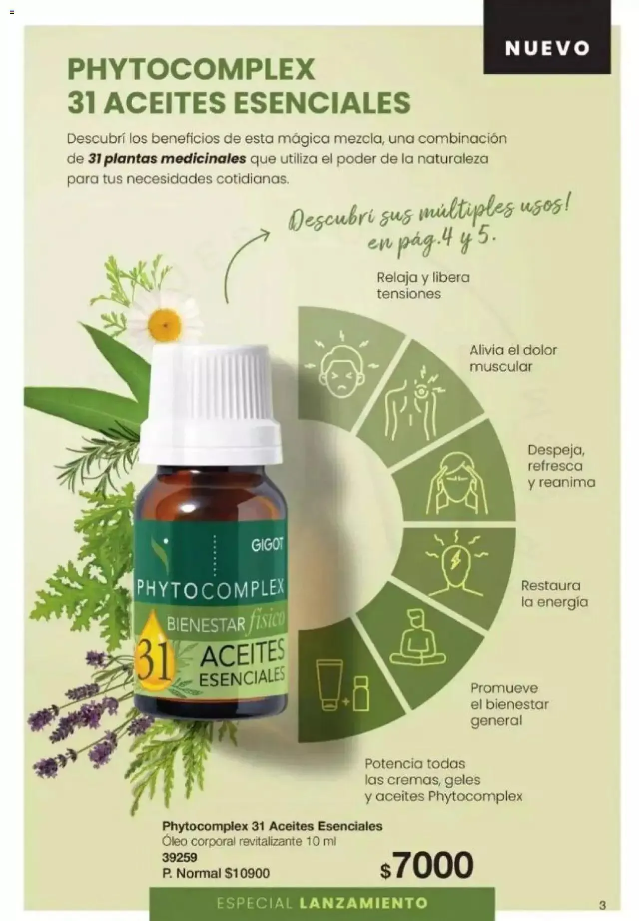 Ofertas de Gigot catálogo 2 de abril al 31 de diciembre 2024 - Página 3 del catálogo