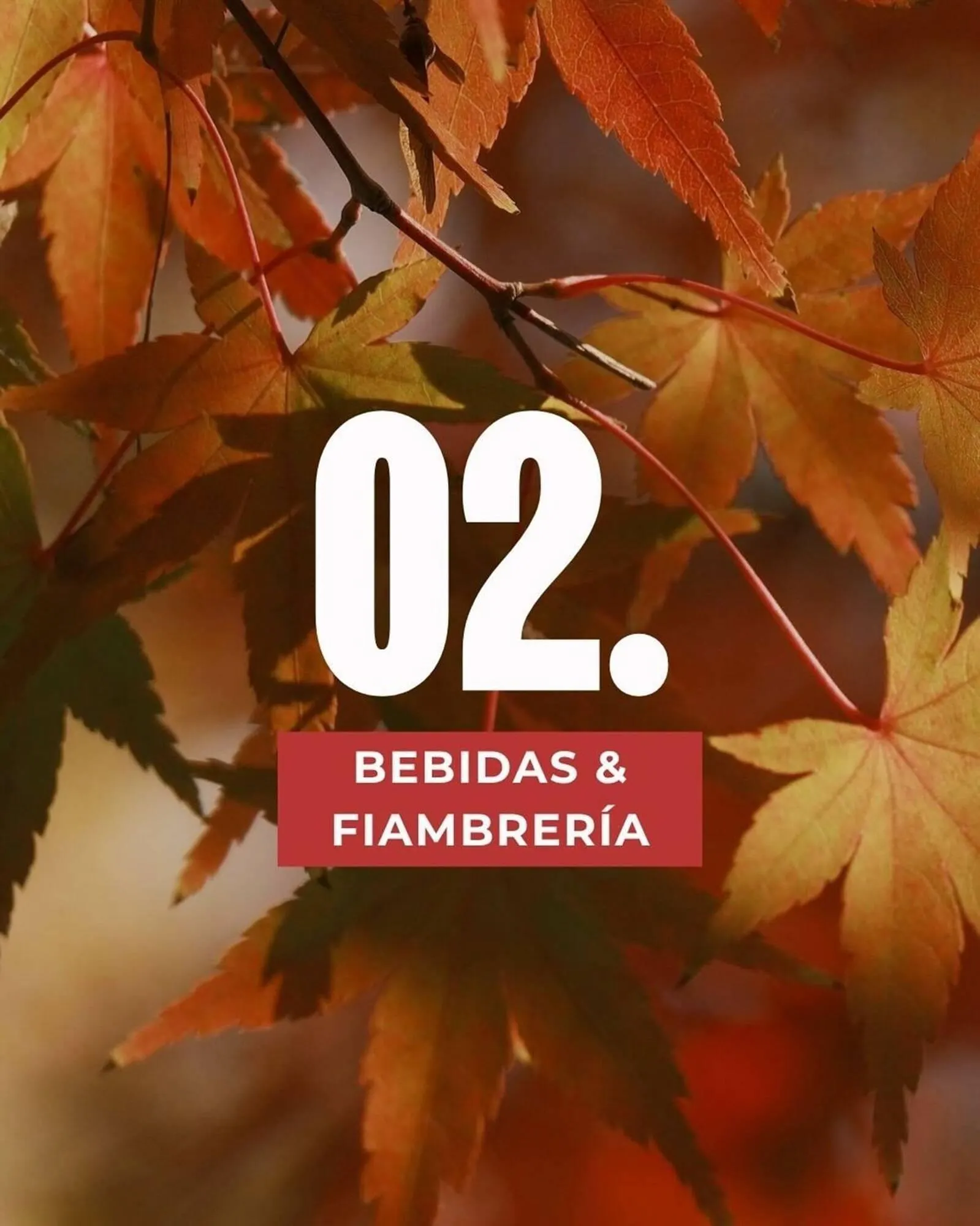 Ofertas de Catálogo Supermercados Zeta 1 de septiembre al 30 de noviembre 2026 - Página 6 del catálogo