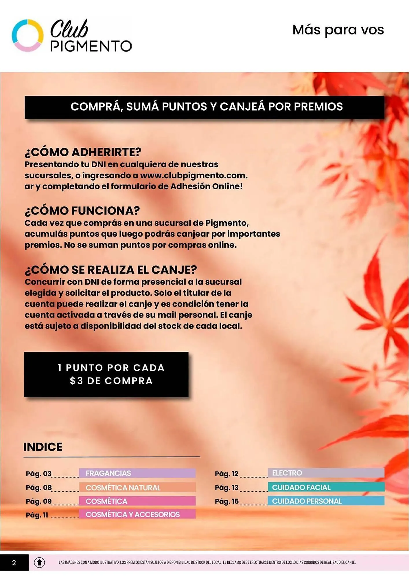 Ofertas de Catálogo Pigmento 9 de abril al 30 de abril 2026 - Página 2 del catálogo