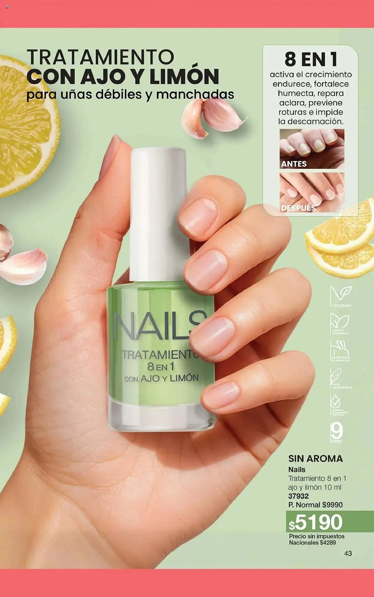 Ofertas de Folleto Gigot 1 de noviembre al 1 de diciembre 2025 - Página 49 del catálogo