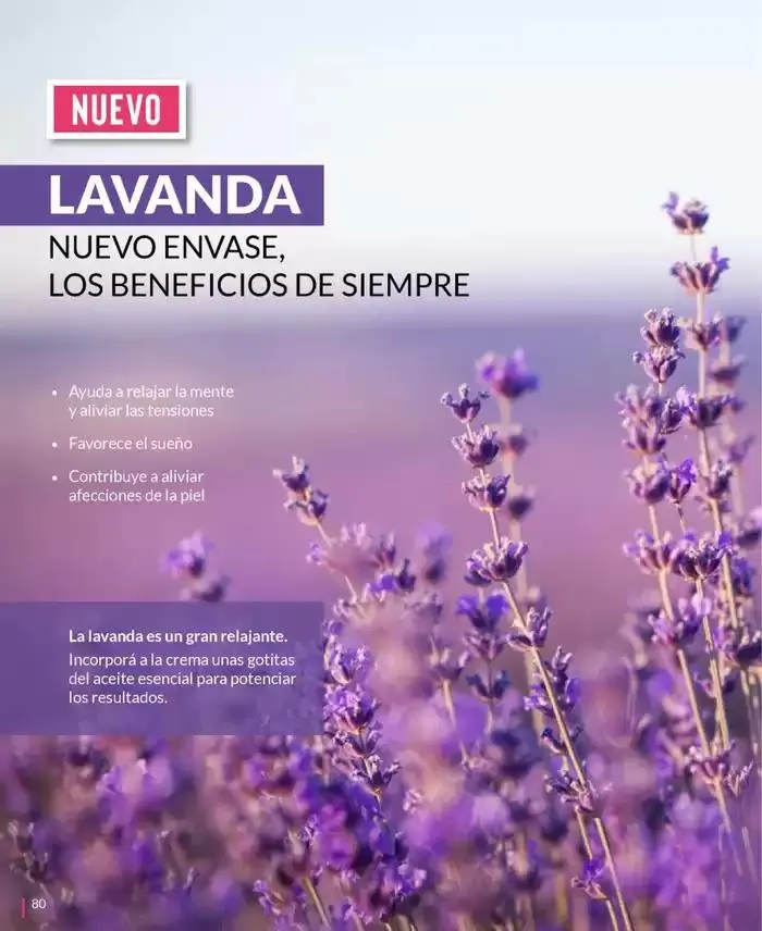 Ofertas de Ofertas Bagués Campaña 10 Argentina 25 de septiembre al 9 de octubre 2024 - Página 93 del catálogo