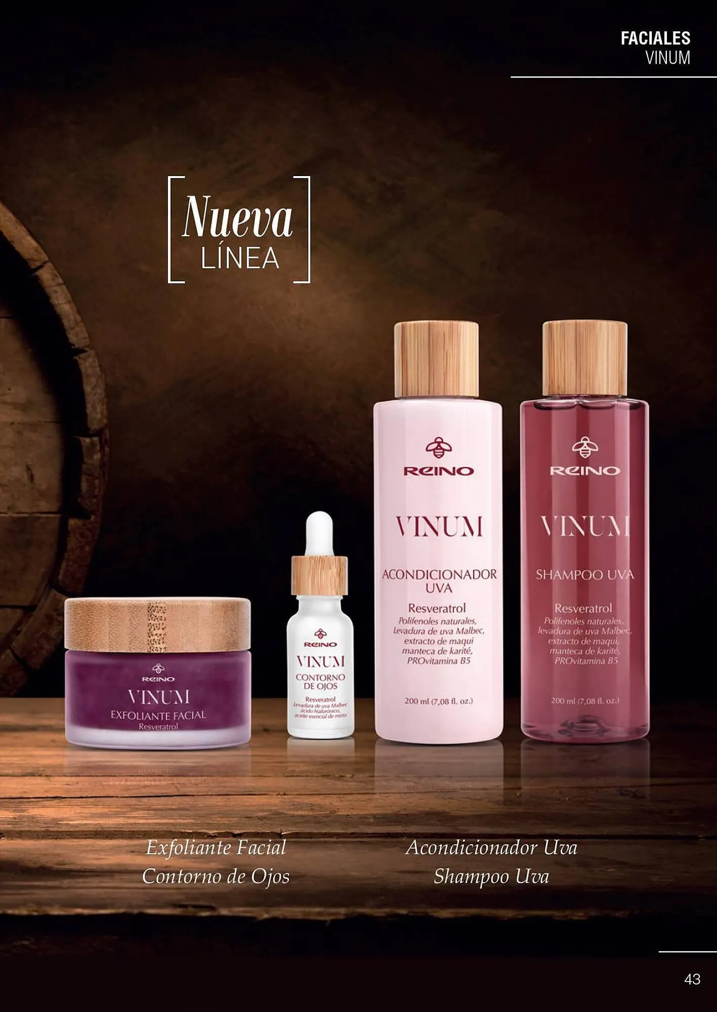 Ofertas de Catálogo Reino Cosmética 28 de julio al 31 de julio 2023 - Página 45 del catálogo