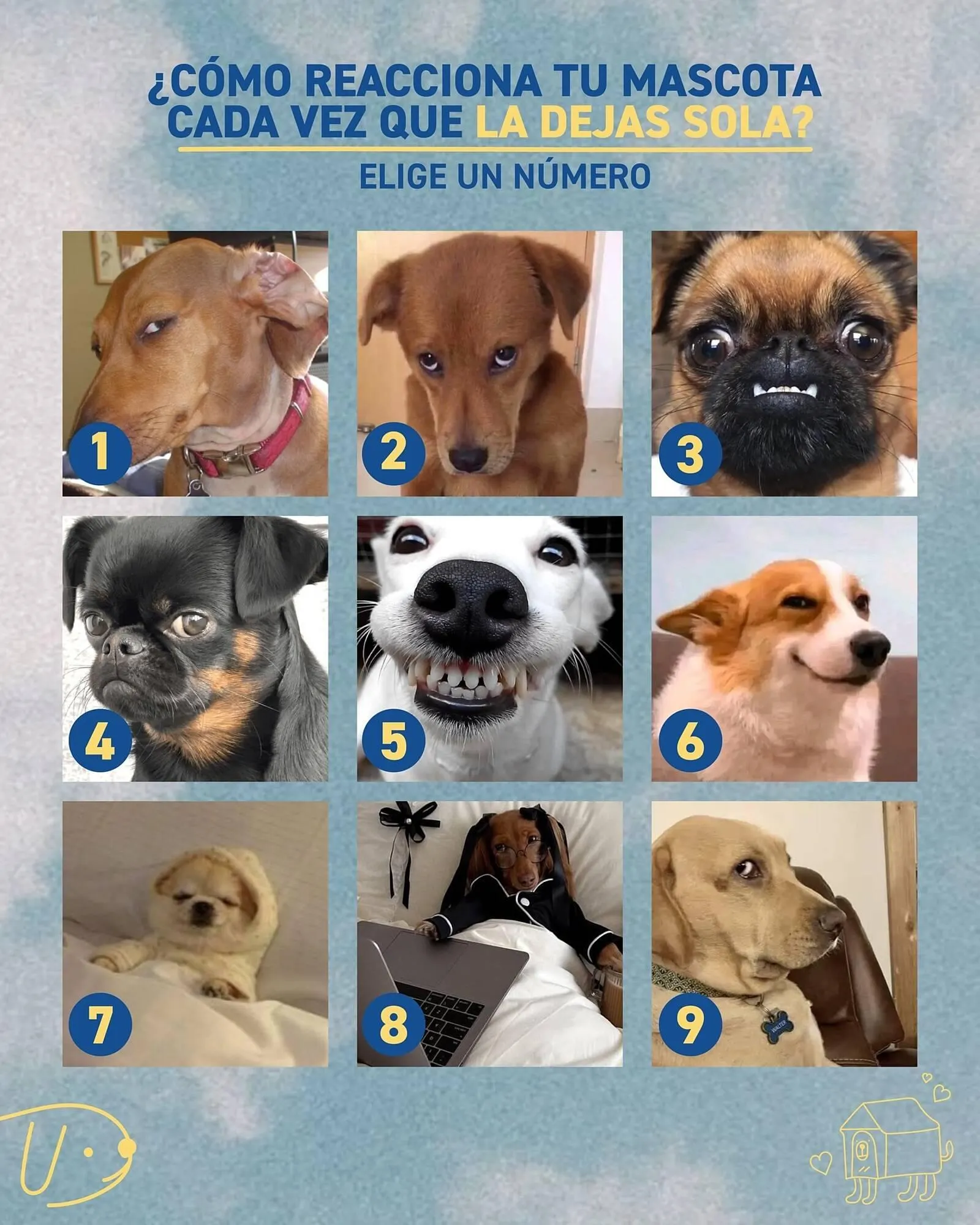 Ofertas de Catálogo Puppis 19 de marzo al 31 de marzo 2026 - Página 3 del catálogo