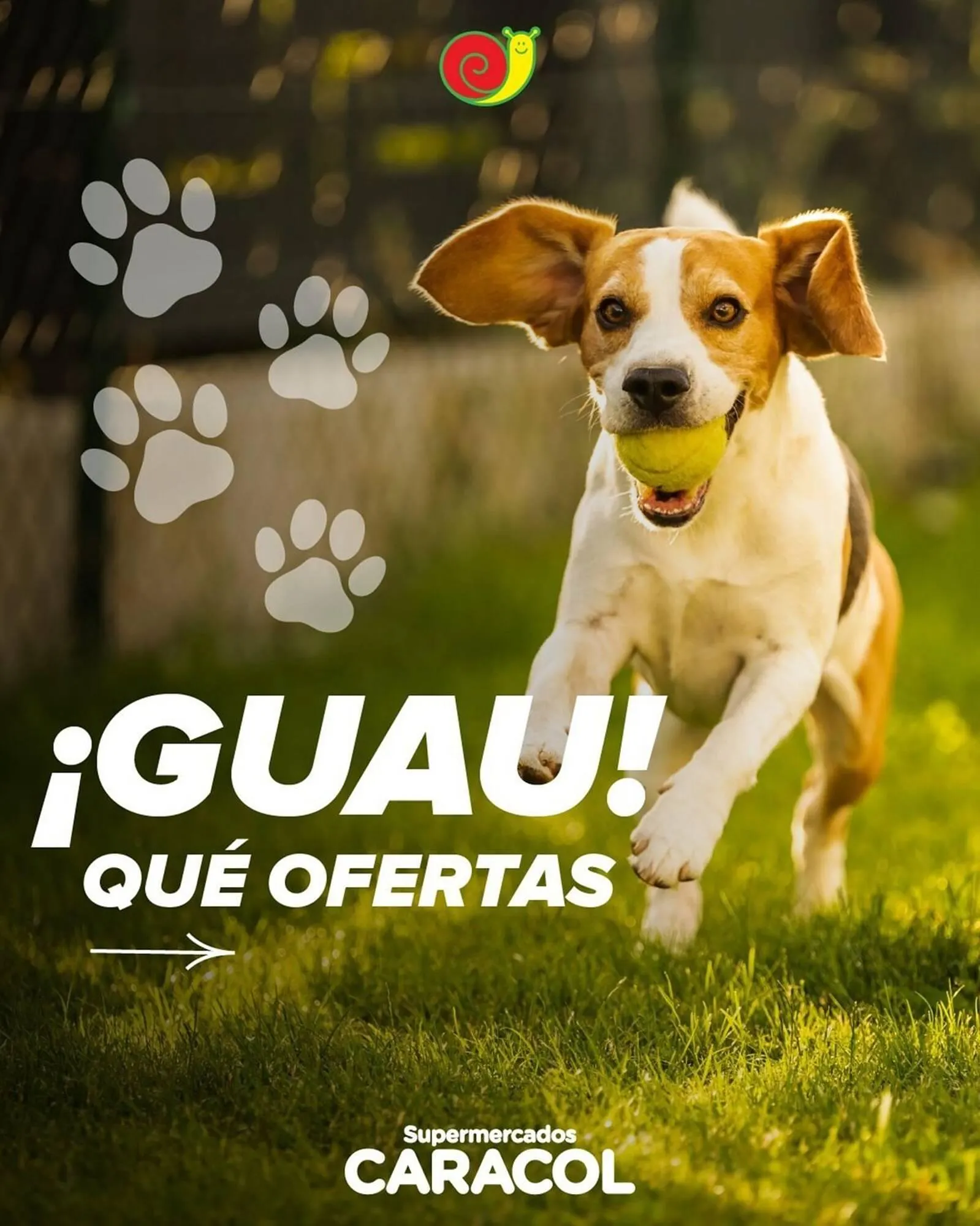 Ofertas de Catálogo Supermercados Caracol 4 de julio al 10 de julio 2025 - Página 2 del catálogo