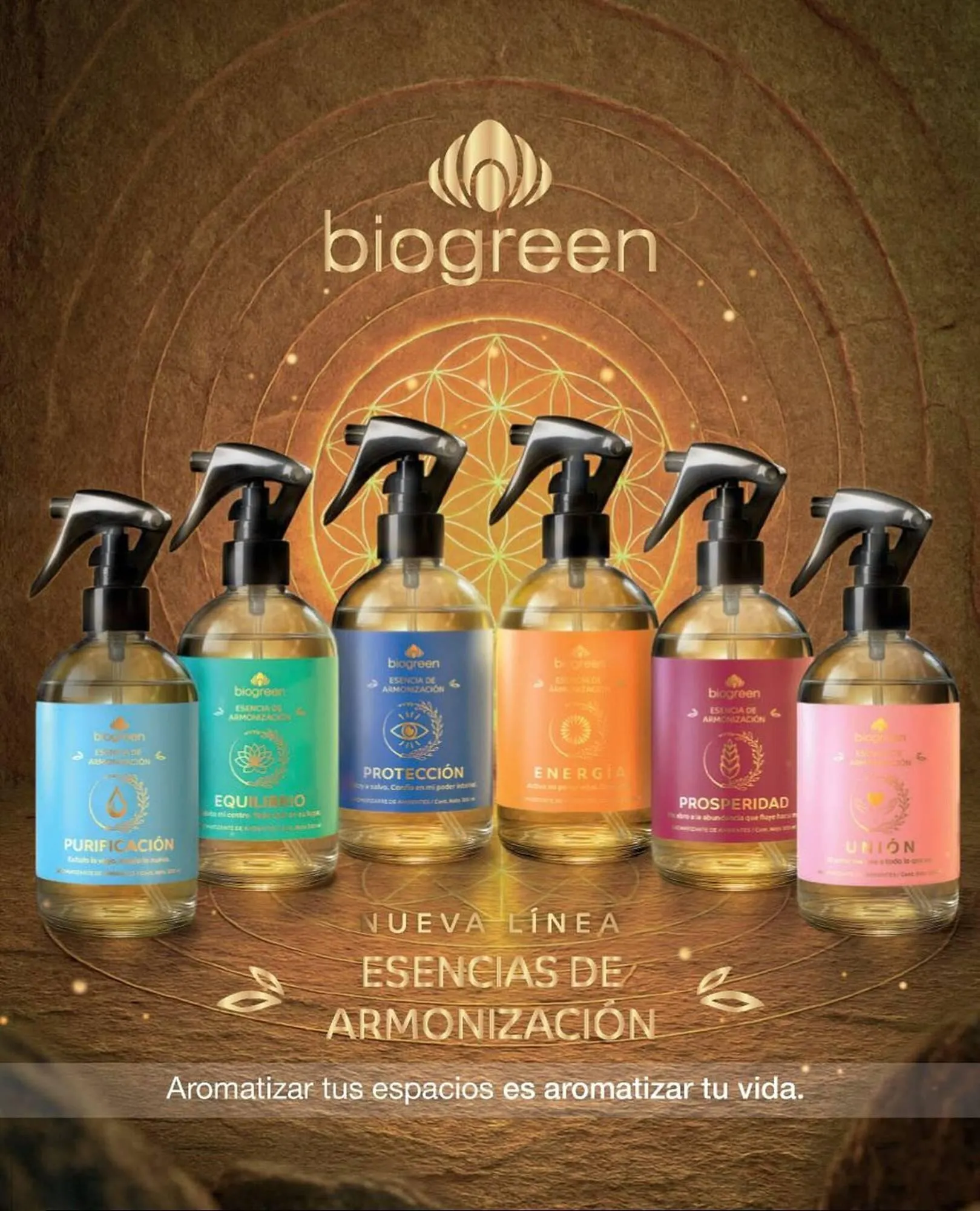 Catálogo Biogreen - 1