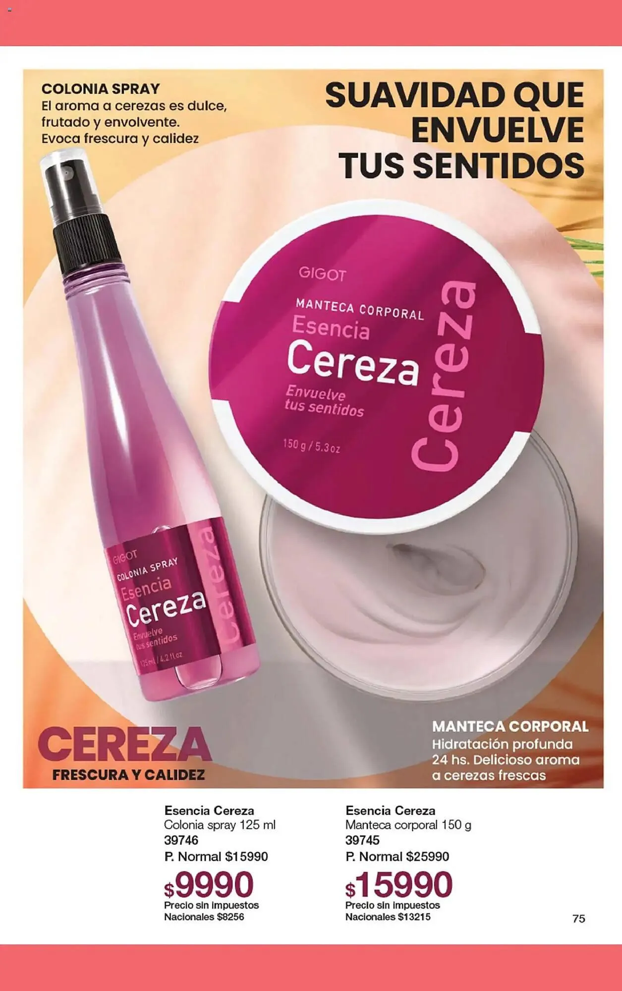 Ofertas de Folleto Gigot 19 de noviembre al 31 de enero 2026 - Página 93 del catálogo