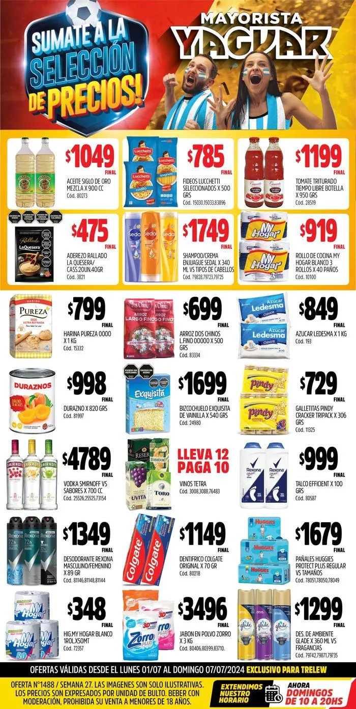 Ofertas de Ofertas Supermercados Yaguar Trelew 1 de julio al 7 de julio 2024 - Página 1 del catálogo