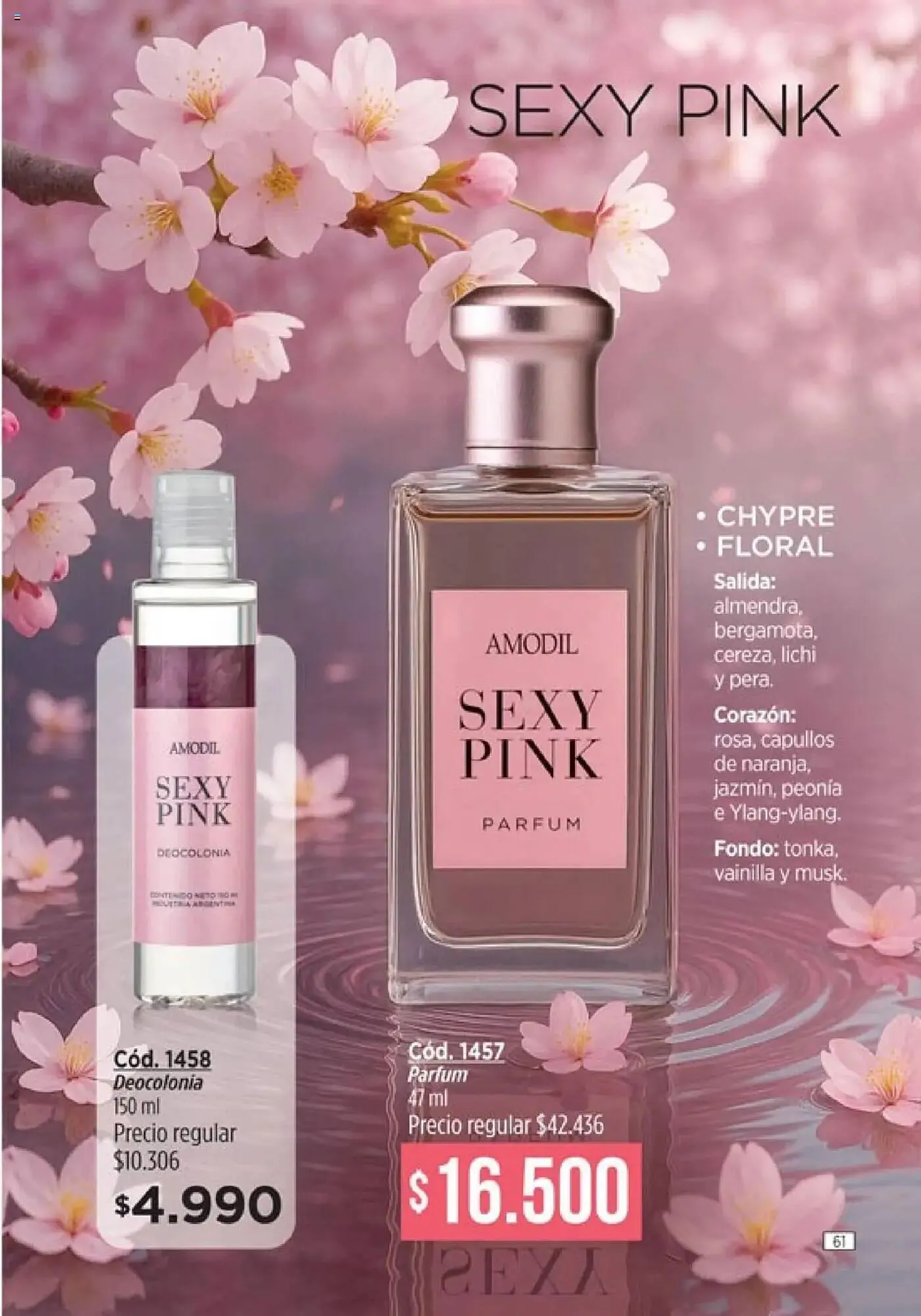 Ofertas de Catálogo Amodil 18 de julio al 31 de julio 2025 - Página 61 del catálogo