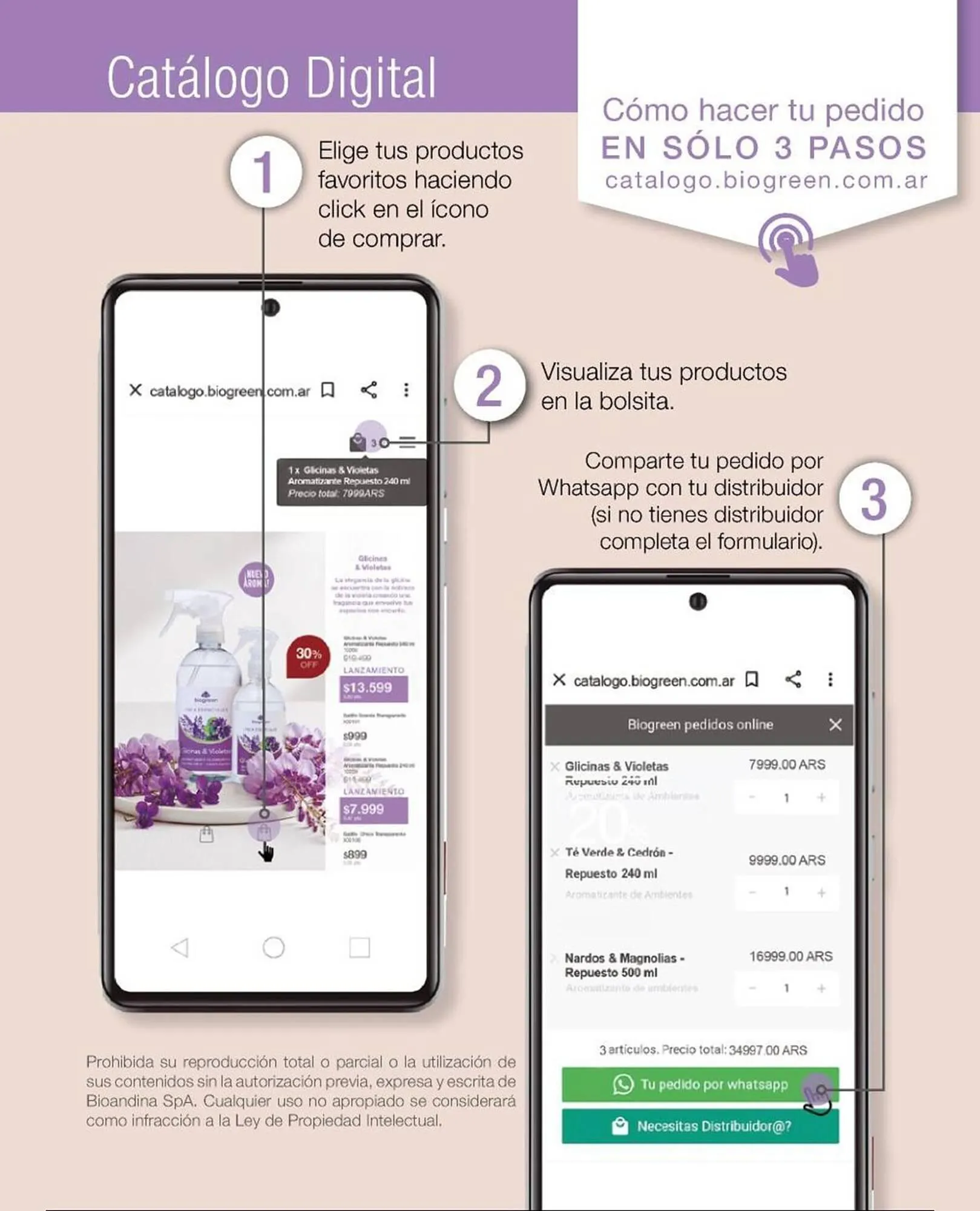 Ofertas de Catálogo Biogreen 16 de febrero al 1 de marzo 2026 - Página 3 del catálogo