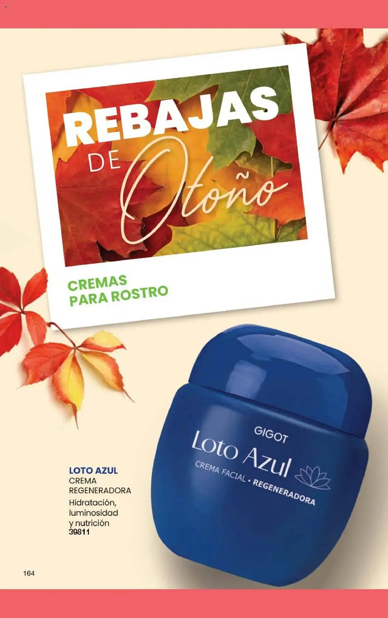 Ofertas de Folleto Gigot 15 de marzo al 31 de marzo 2026 - Página 170 del catálogo