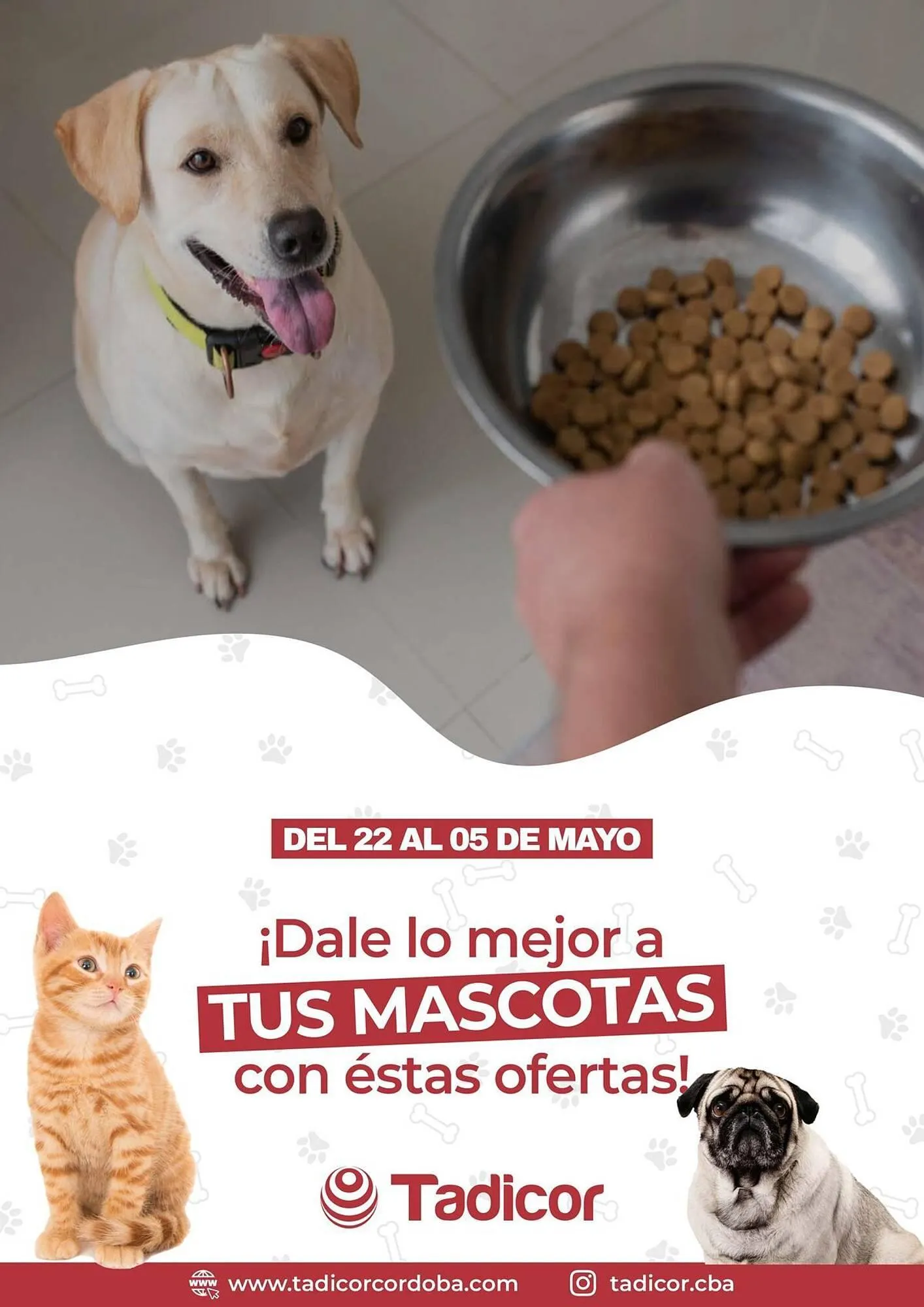 Catálogo Supermercados Tadicor - 1