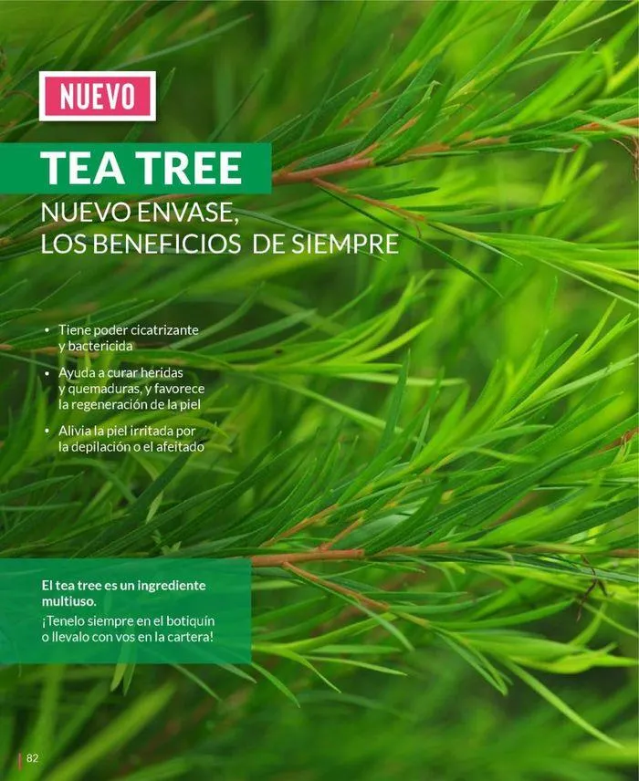 Ofertas de Ofertas Bagués Campaña 10 Argentina 22 de septiembre al 6 de octubre 2024 - Página 96 del catálogo