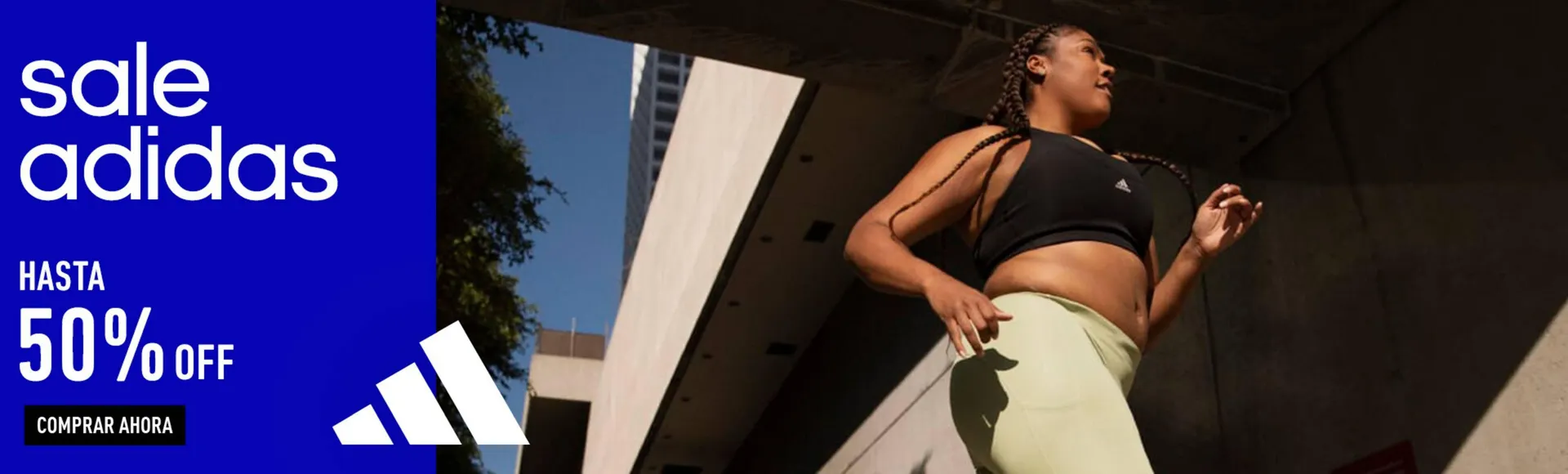 Catálogo Dexter - 1