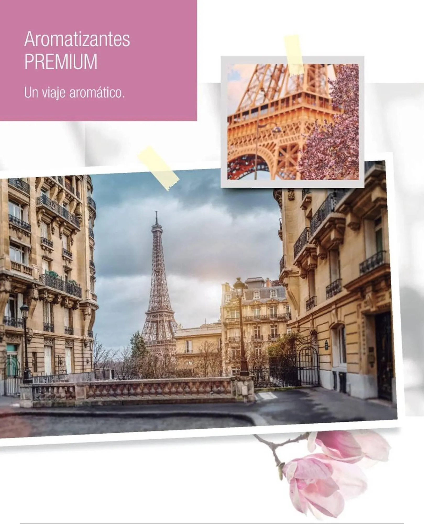 Ofertas de Catálogo Biogreen 4 de noviembre al 30 de noviembre 2025 - Página 24 del catálogo