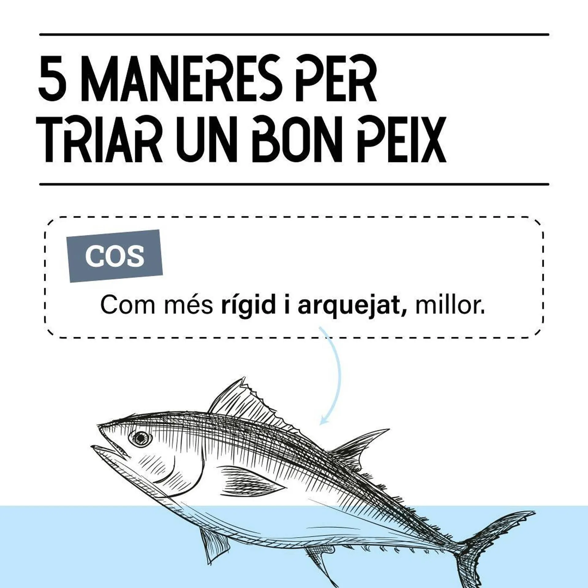 Ofertas de Catálogo Bonpreu 24 de octubre al 31 de octubre 2024 - Página 2 del catálogo