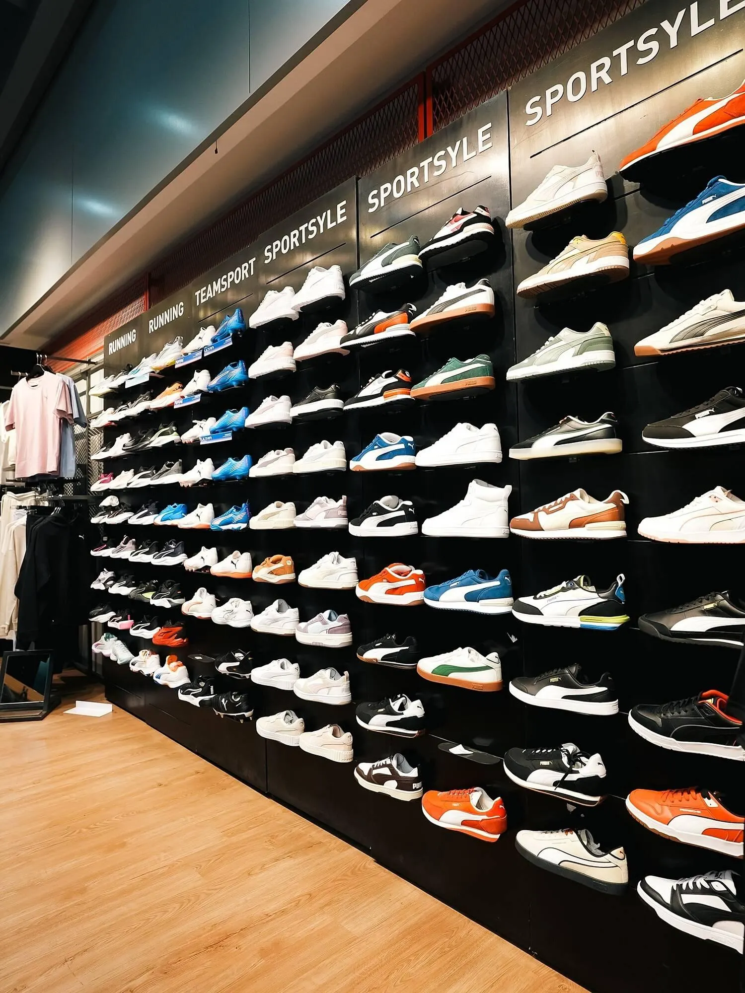 Ofertas de Catálogo Sportline 13 de noviembre al 30 de noviembre 2025 - Página 2 del catálogo