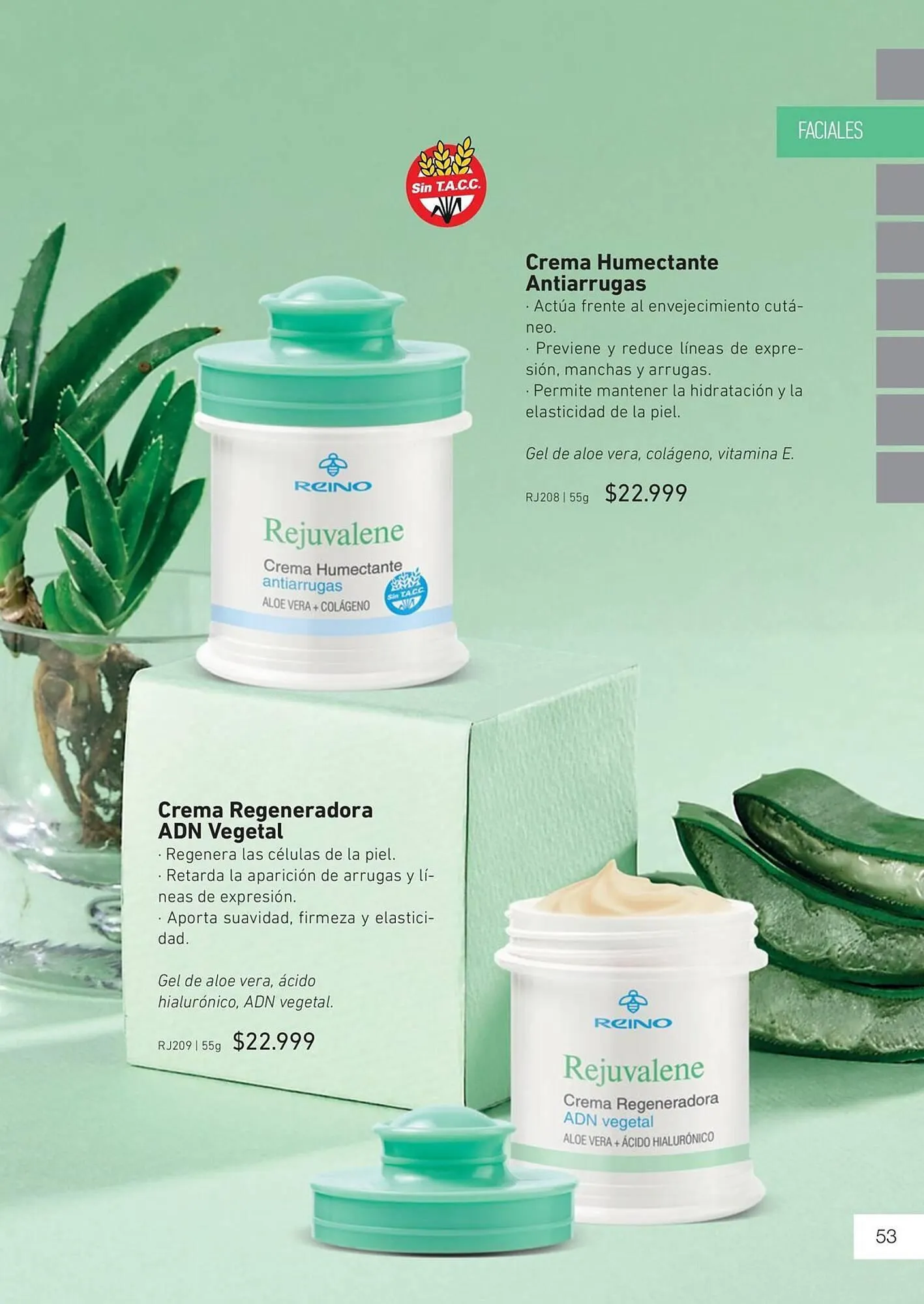 Ofertas de Catálogo Reino Cosmética 8 de mayo al 31 de mayo 2025 - Página 55 del catálogo