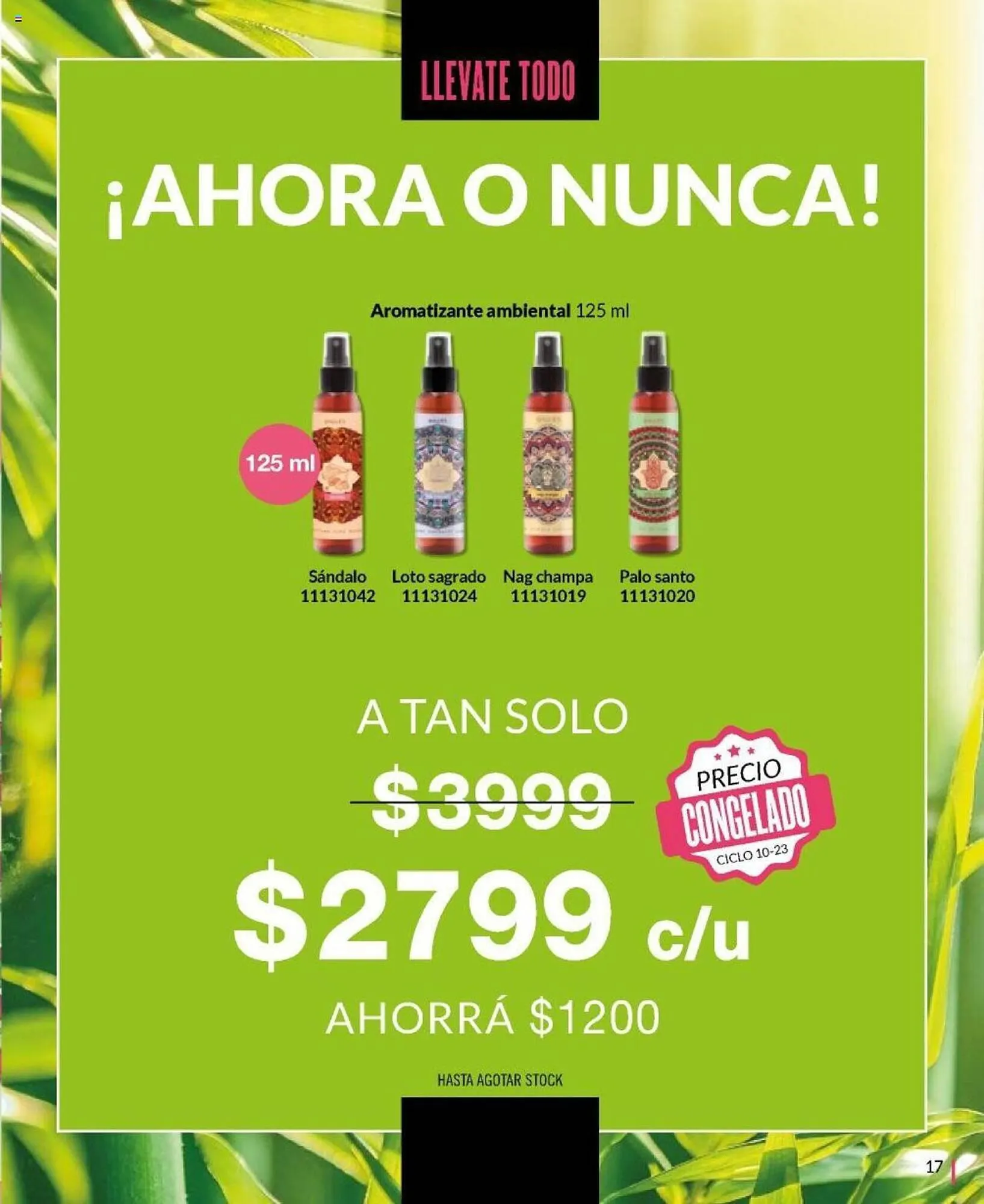 Ofertas de Catálogo Bagués 24 de octubre al 6 de noviembre 2023 - Página 17 del catálogo