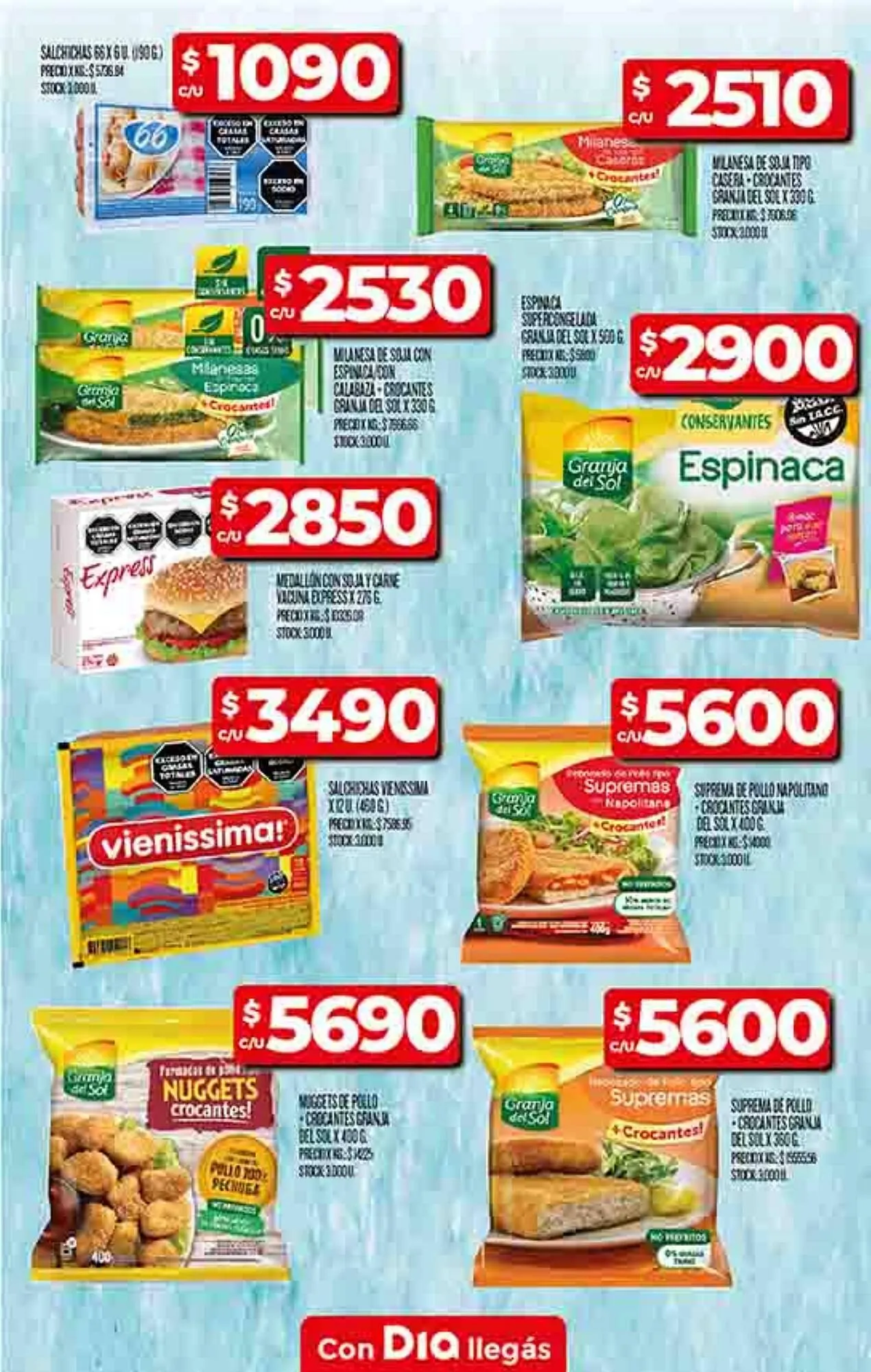 Ofertas de Catálogo Supermercados DIA 10 de junio al 16 de junio 2025 - Página 9 del catálogo