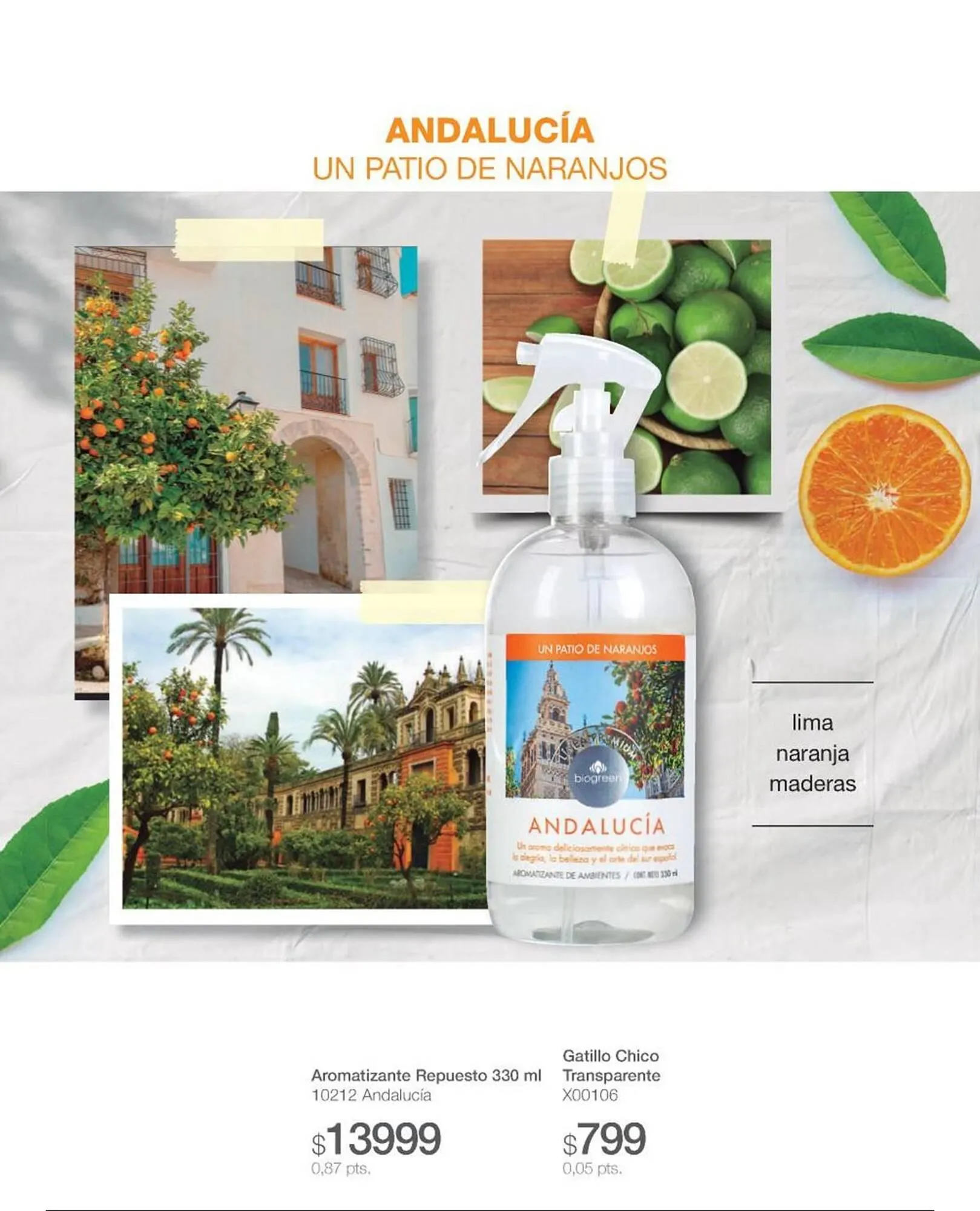 Ofertas de Catálogo Biogreen 4 de noviembre al 30 de noviembre 2025 - Página 26 del catálogo