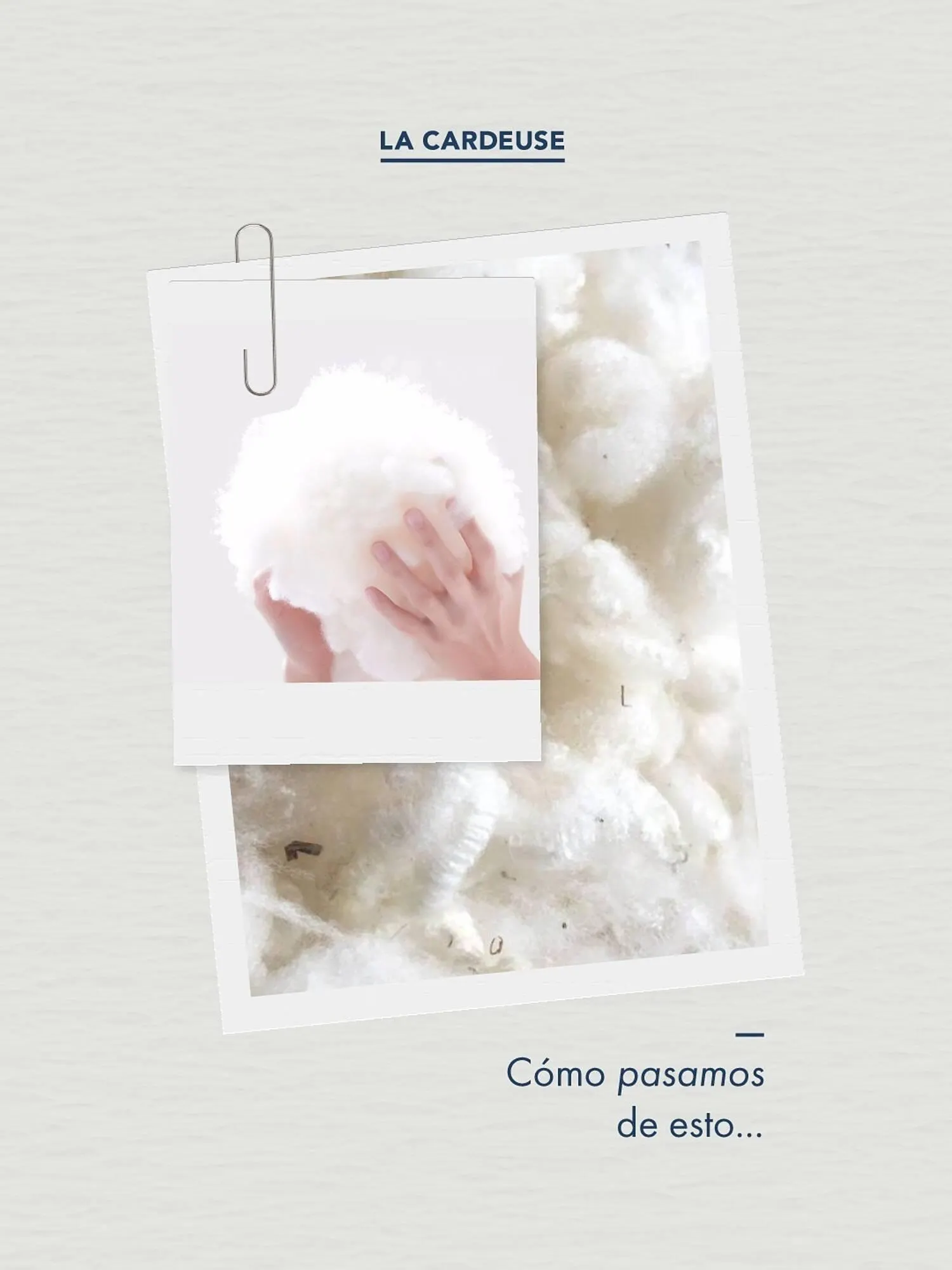 Catálogo La Cardeuse - 1