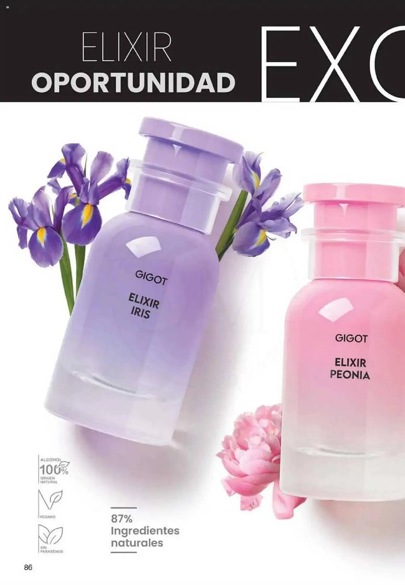 Ofertas de Catálogo Gigot 29 de mayo al 12 de junio 2025 - Página 82 del catálogo