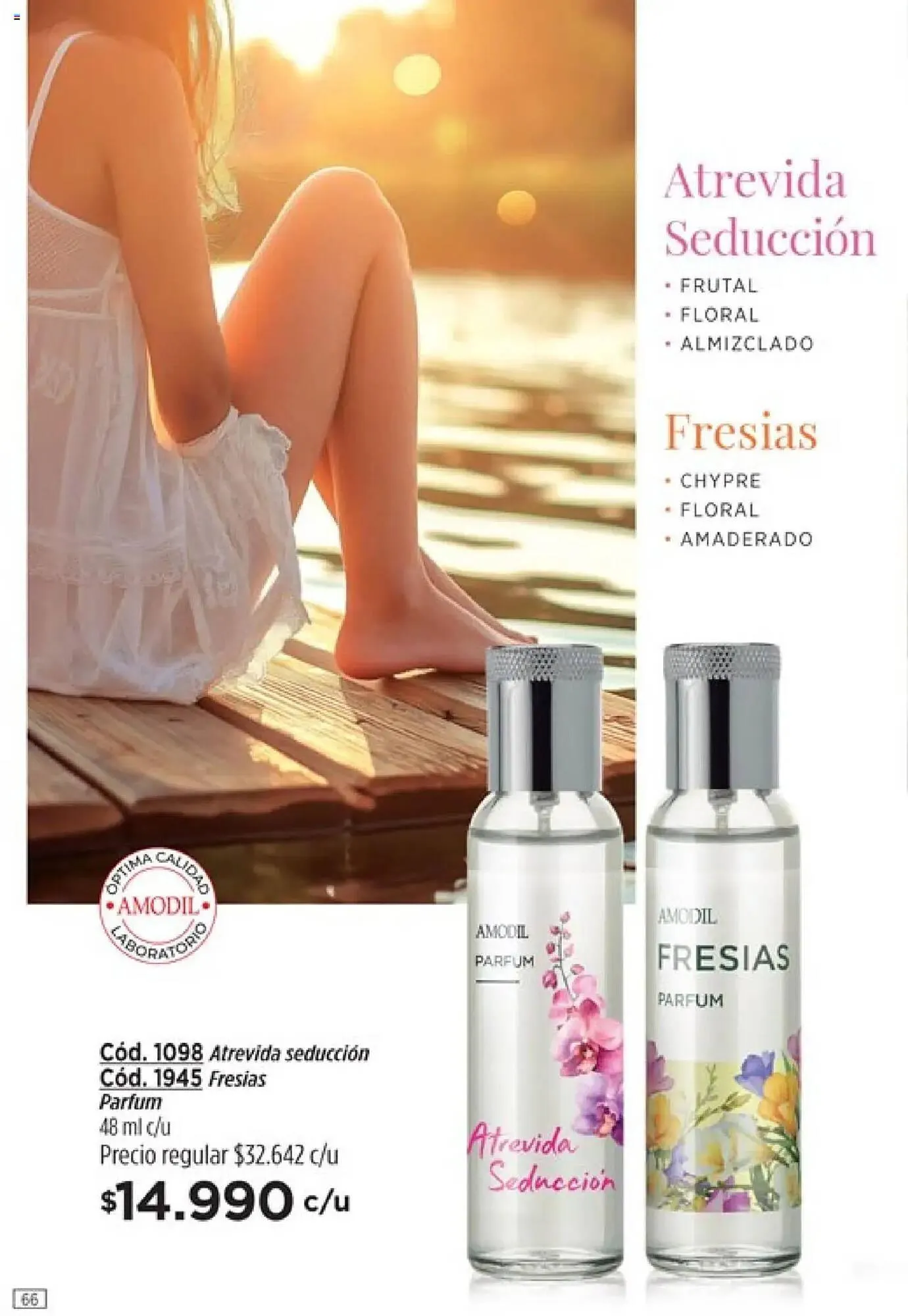Ofertas de Catálogo Amodil 1 de octubre al 1 de noviembre 2025 - Página 66 del catálogo