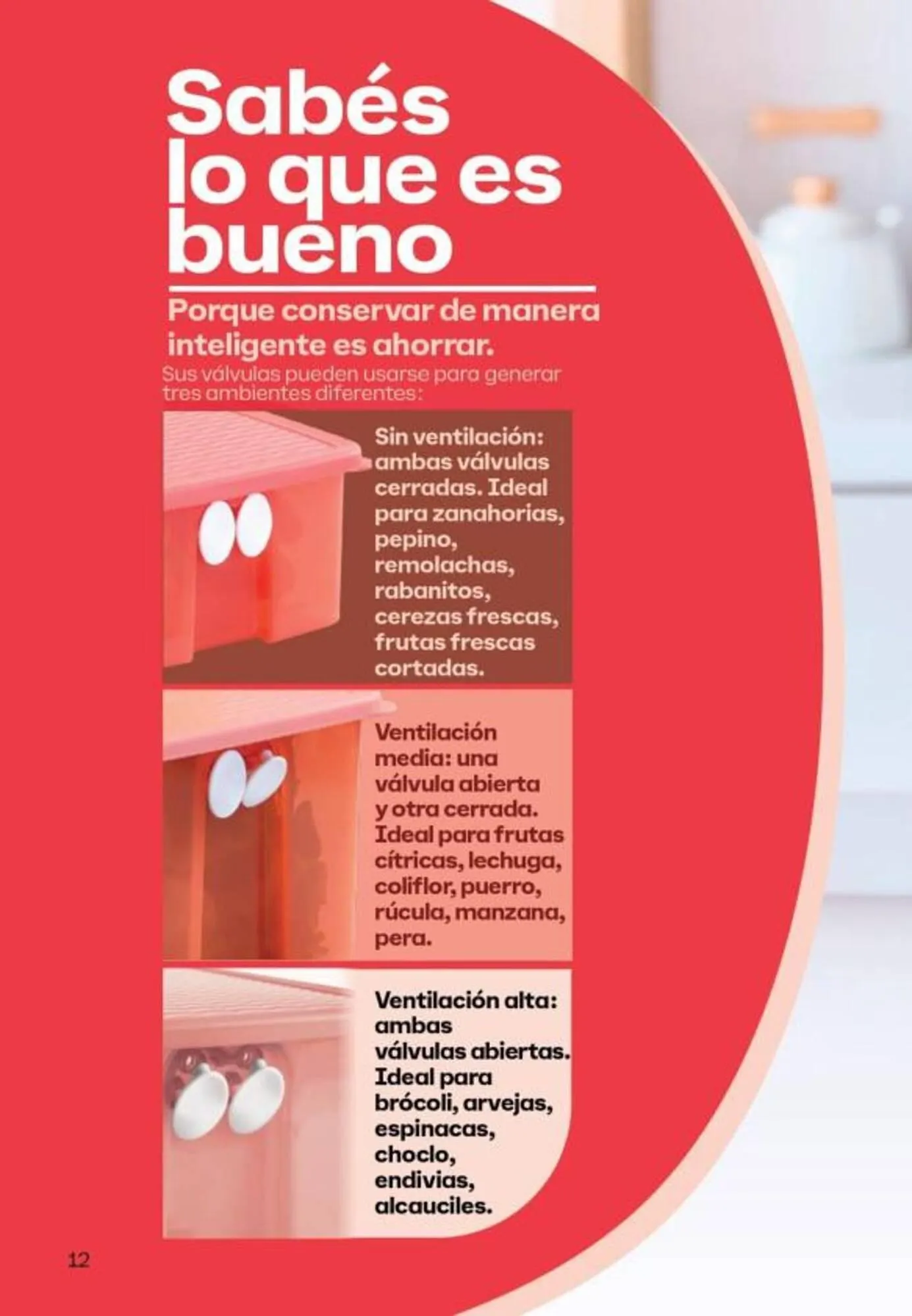 Ofertas de Catálogo Tupperware 10 de mayo al 31 de mayo 2025 - Página 13 del catálogo
