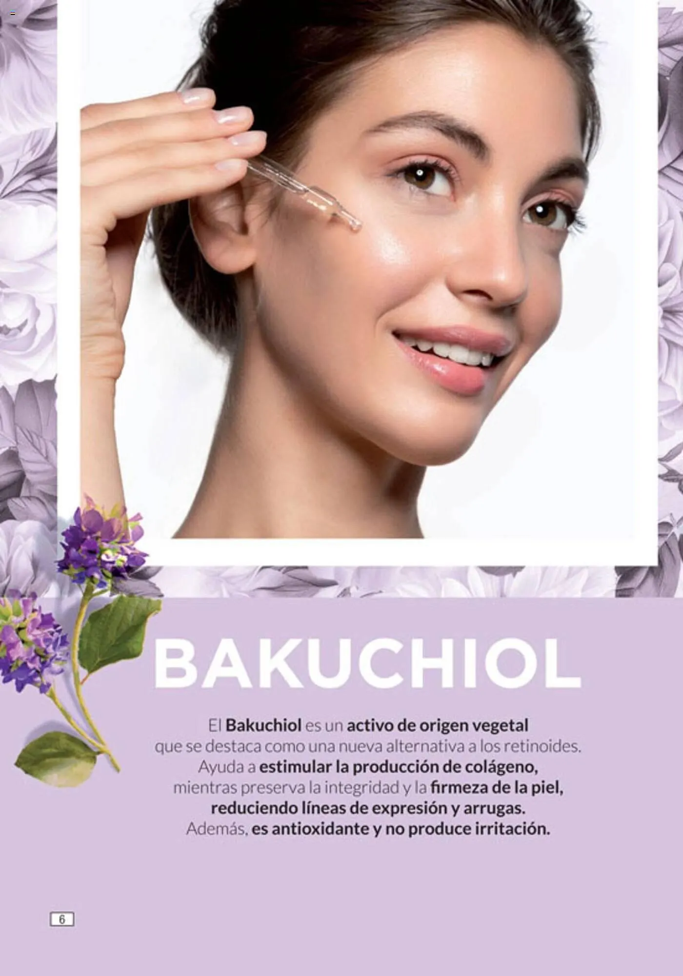 Ofertas de Catálogo Amodil 2 de octubre al 15 de octubre 2024 - Página 6 del catálogo