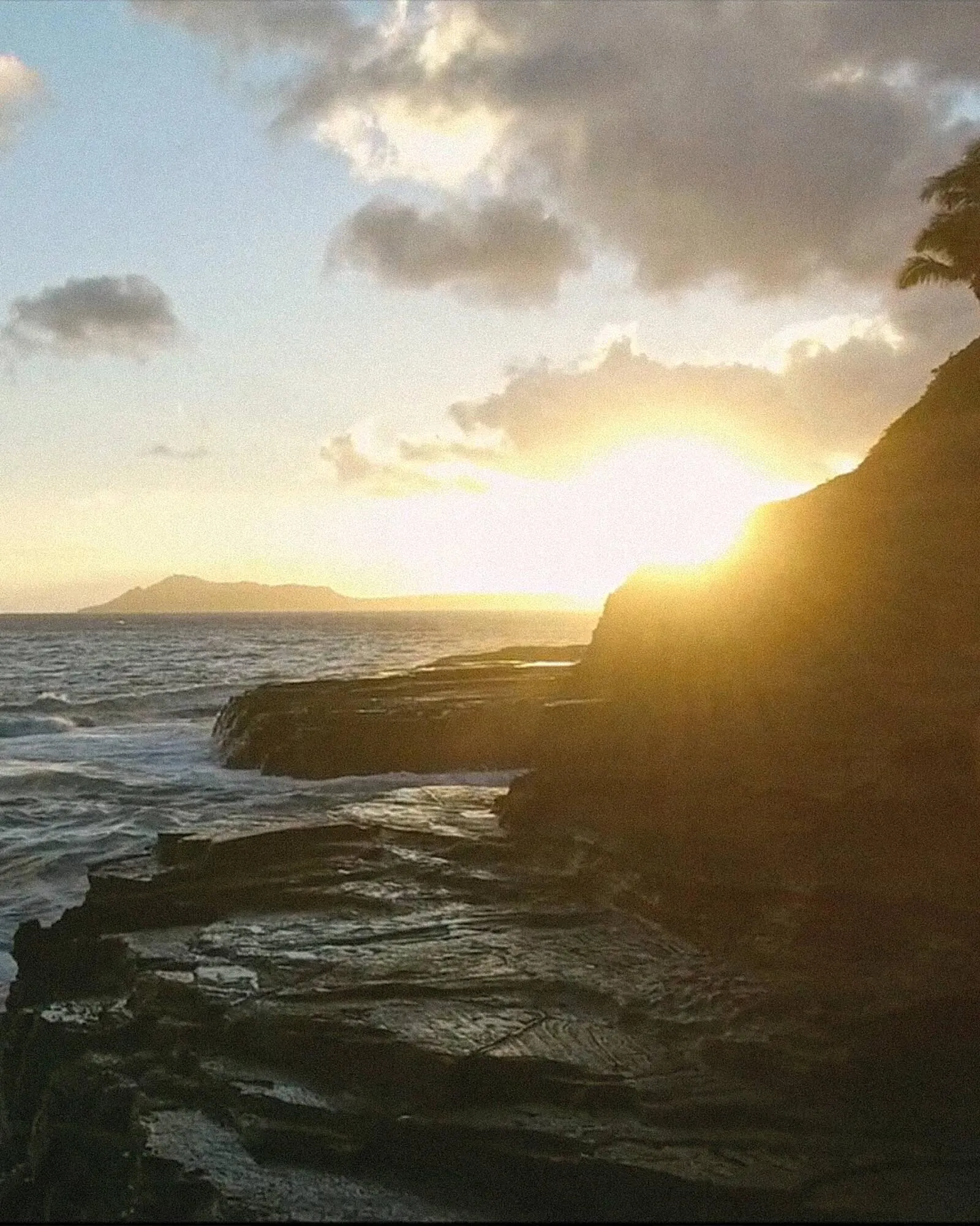 Ofertas de Catálogo La Martina 14 de mayo al 27 de mayo 2025 - Página 3 del catálogo