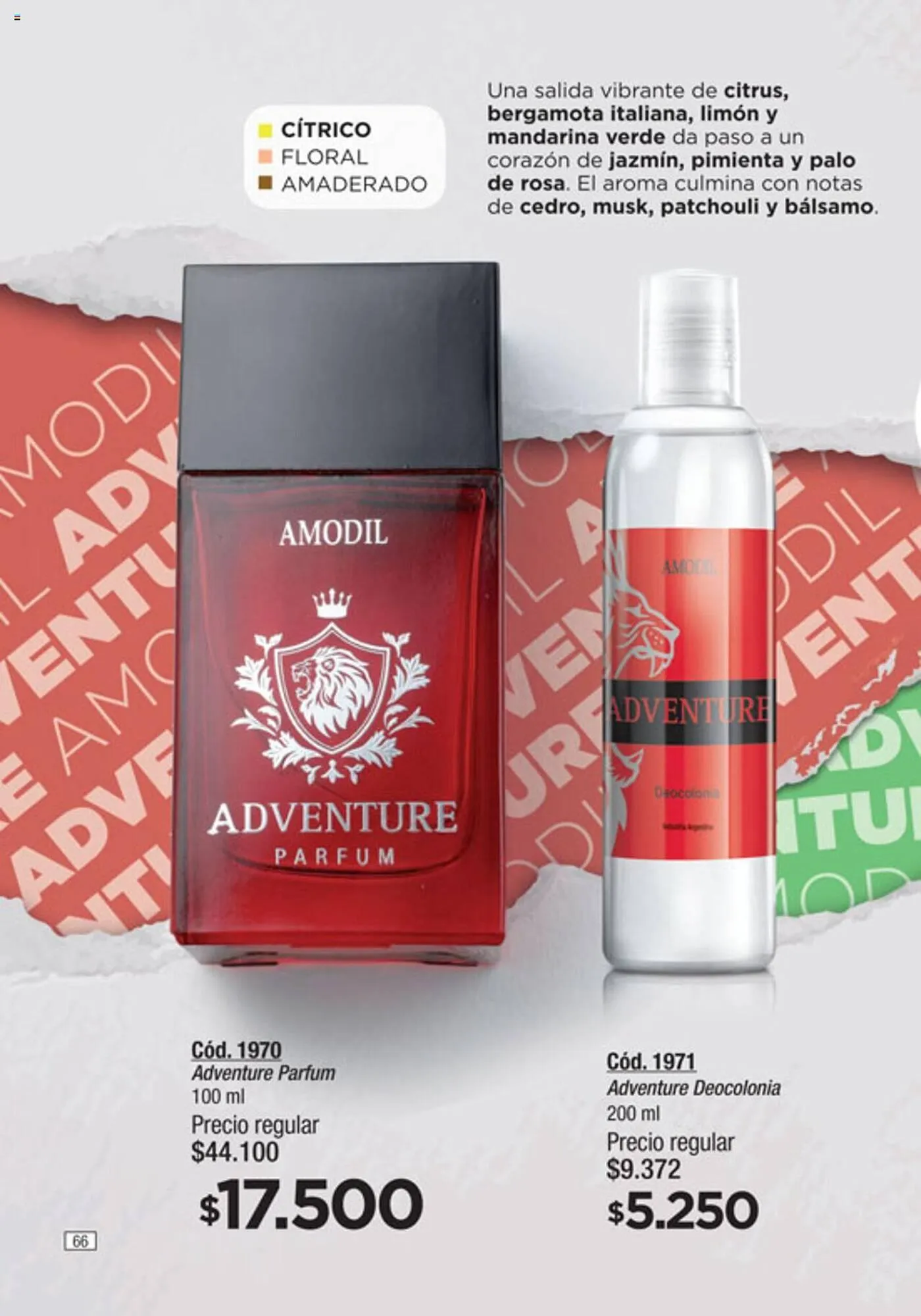 Ofertas de Catálogo Amodil 2 de octubre al 15 de octubre 2024 - Página 66 del catálogo