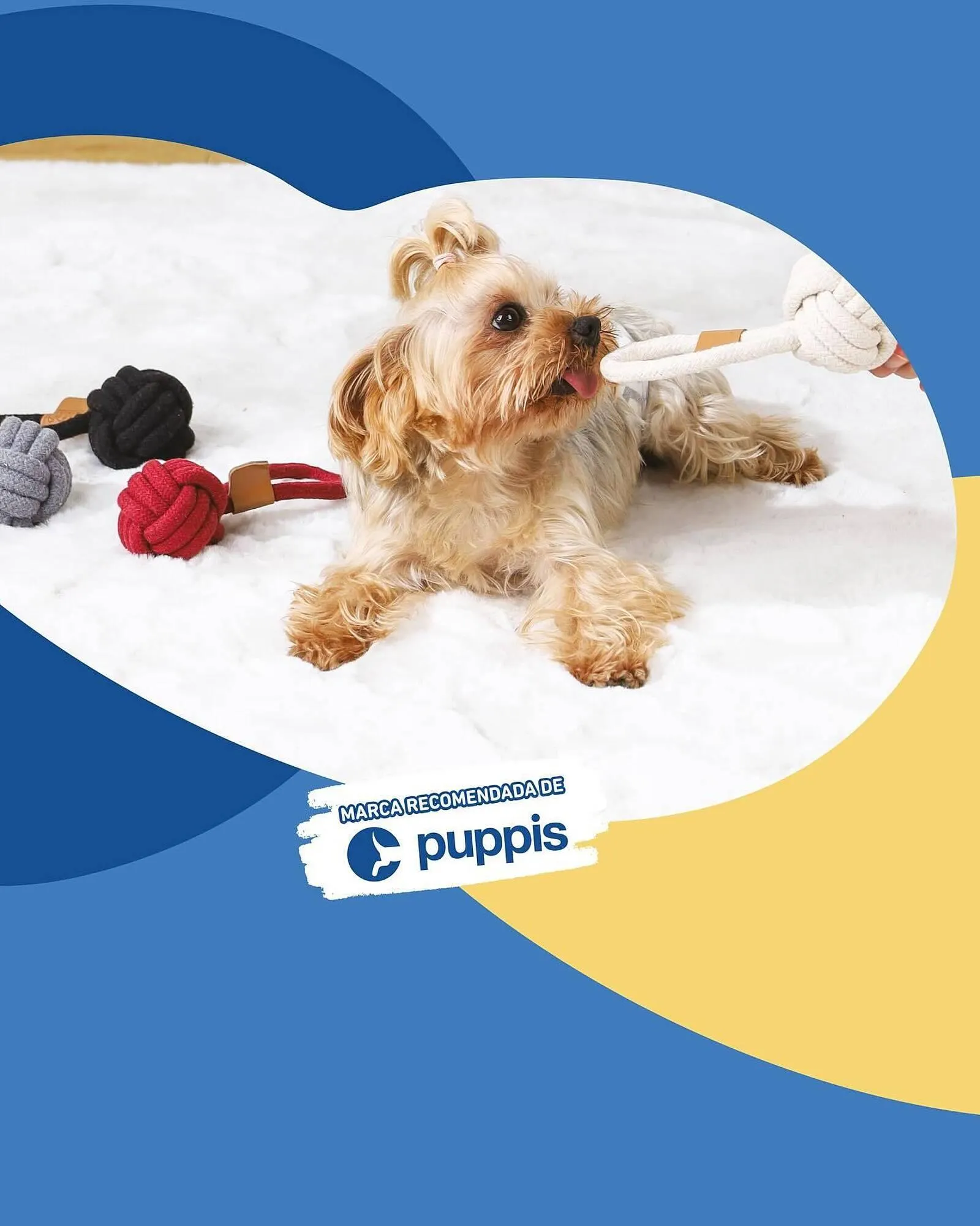 Ofertas de Catálogo Puppis 1 de octubre al 15 de octubre 2025 - Página 4 del catálogo