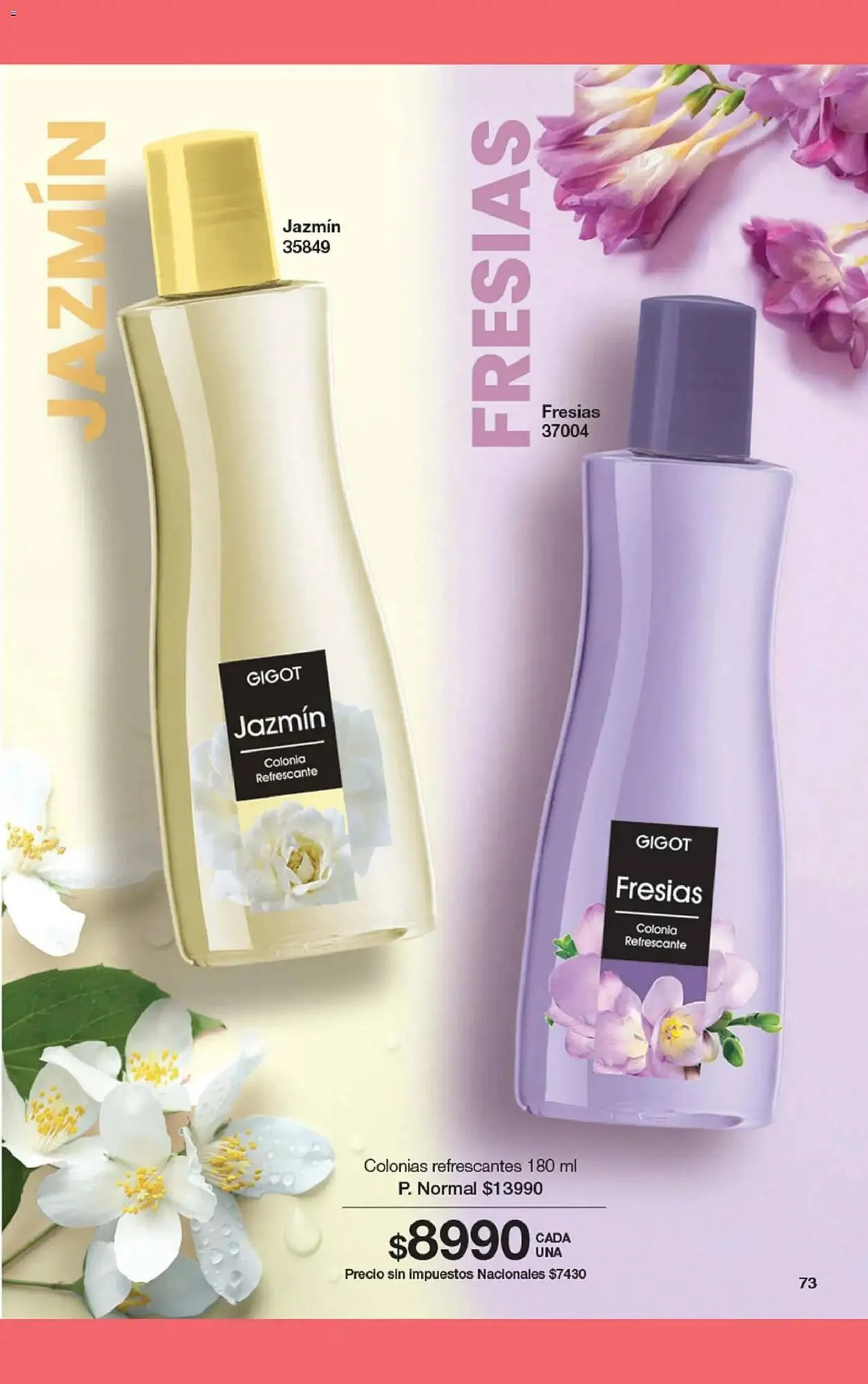 Ofertas de Folleto Gigot 19 de noviembre al 31 de enero 2026 - Página 91 del catálogo