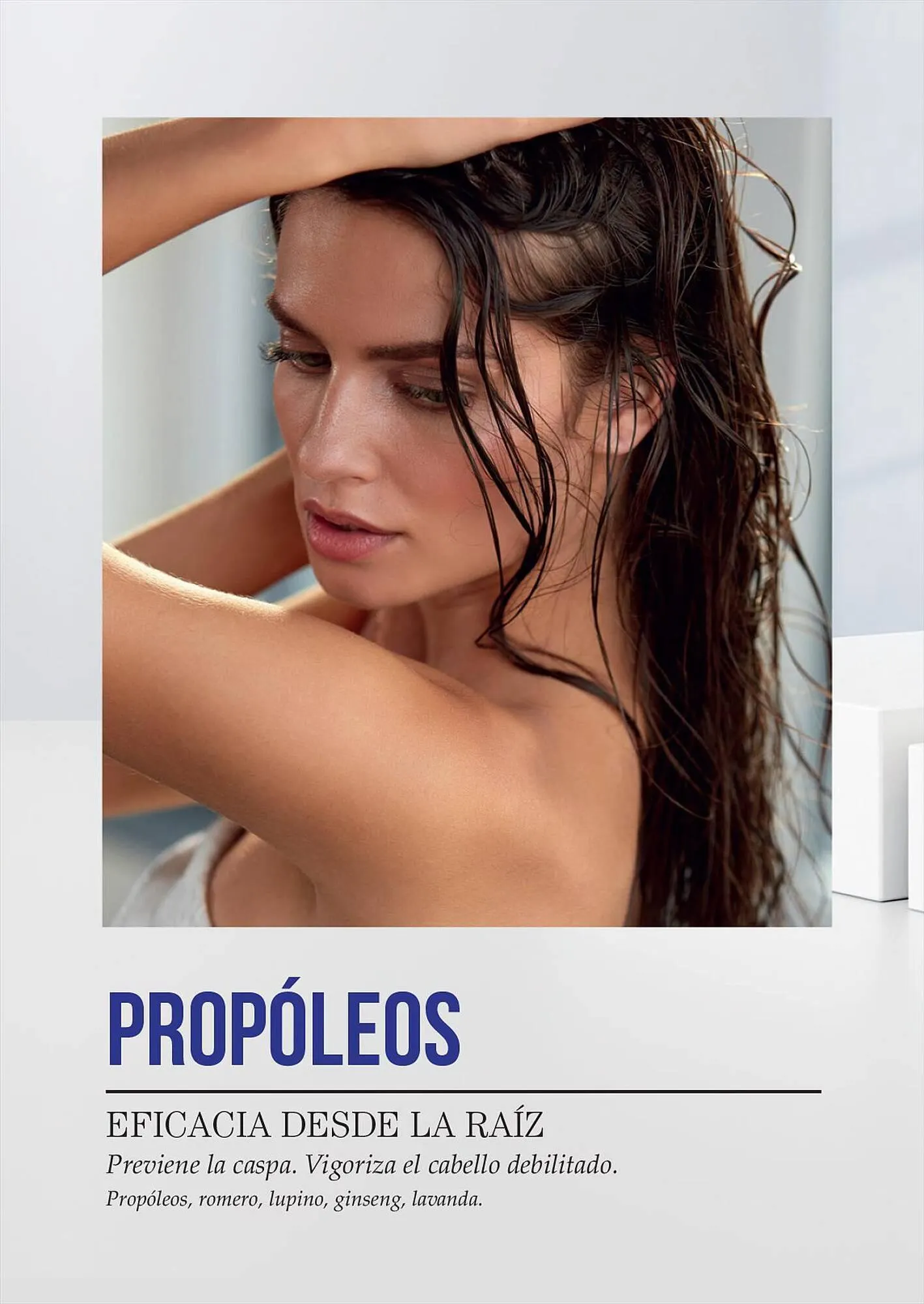 Ofertas de Catálogo Reino Cosmética 28 de julio al 31 de julio 2023 - Página 20 del catálogo