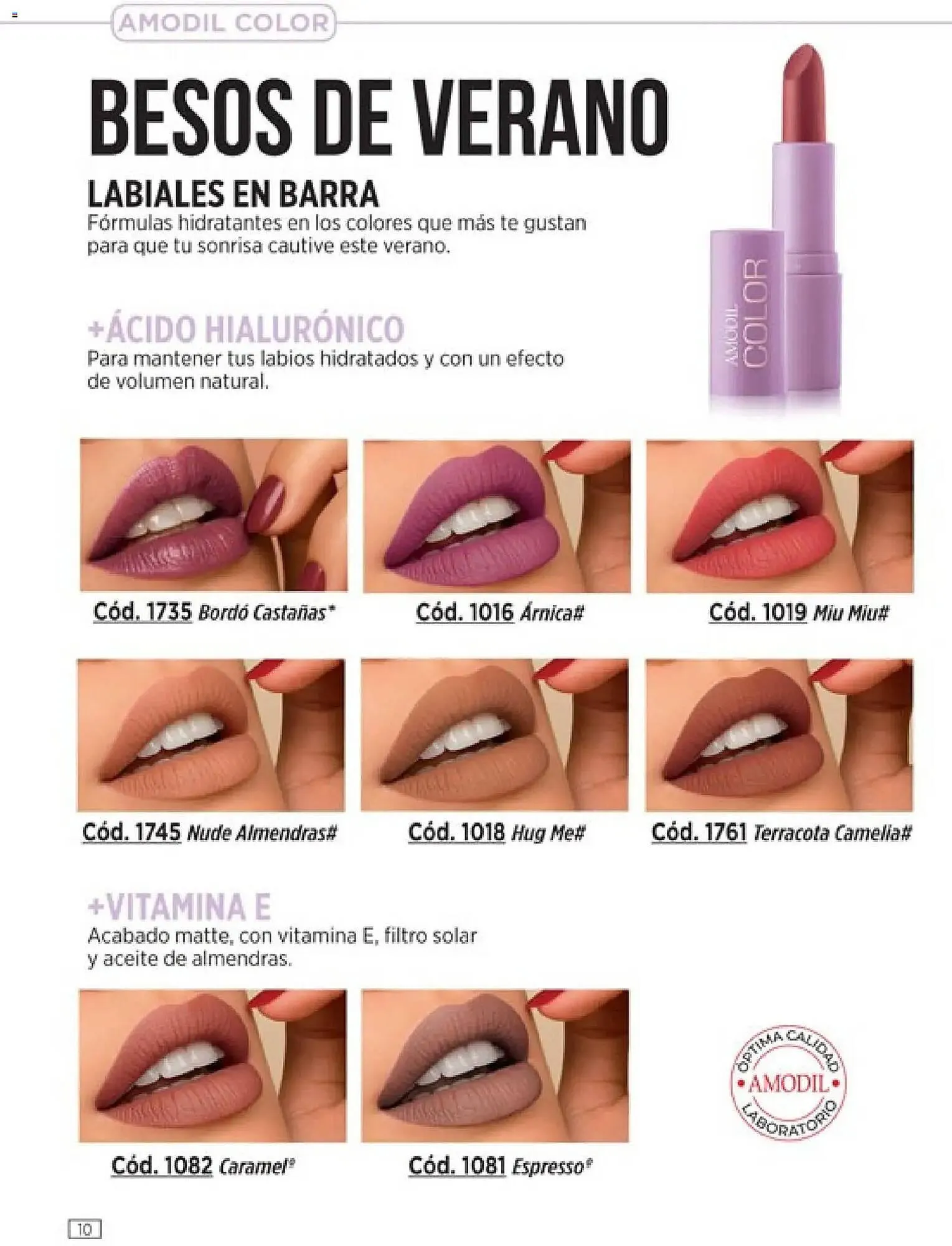 Ofertas de Catálogo Amodil 1 de enero al 1 de febrero 2026 - Página 10 del catálogo