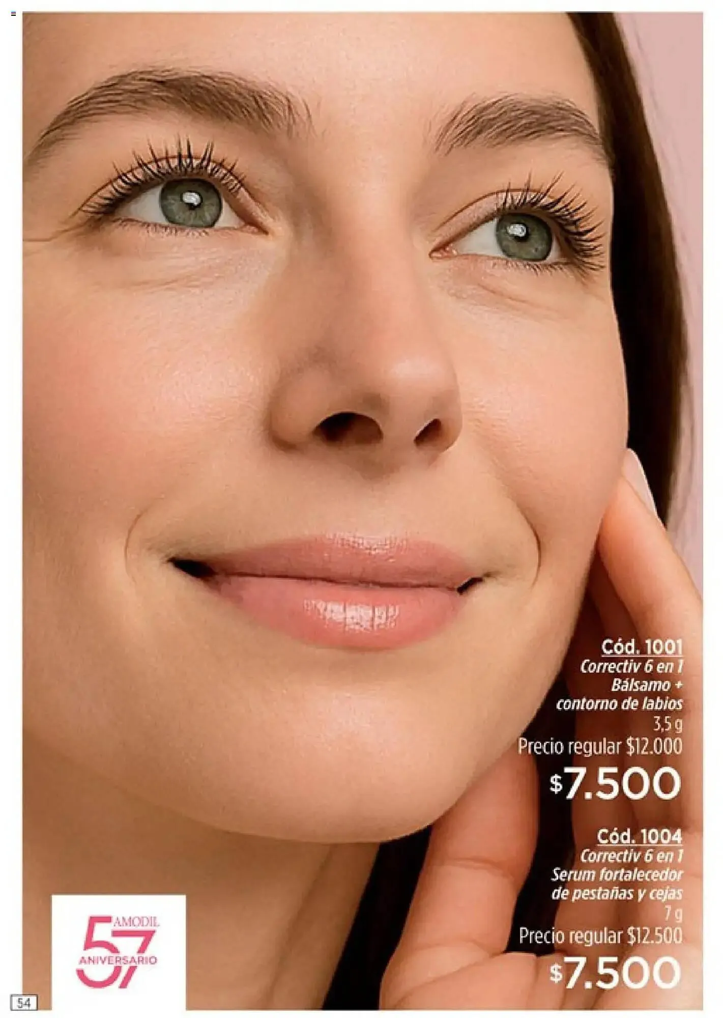 Ofertas de Catálogo Amodil 27 de mayo al 18 de junio 2025 - Página 54 del catálogo