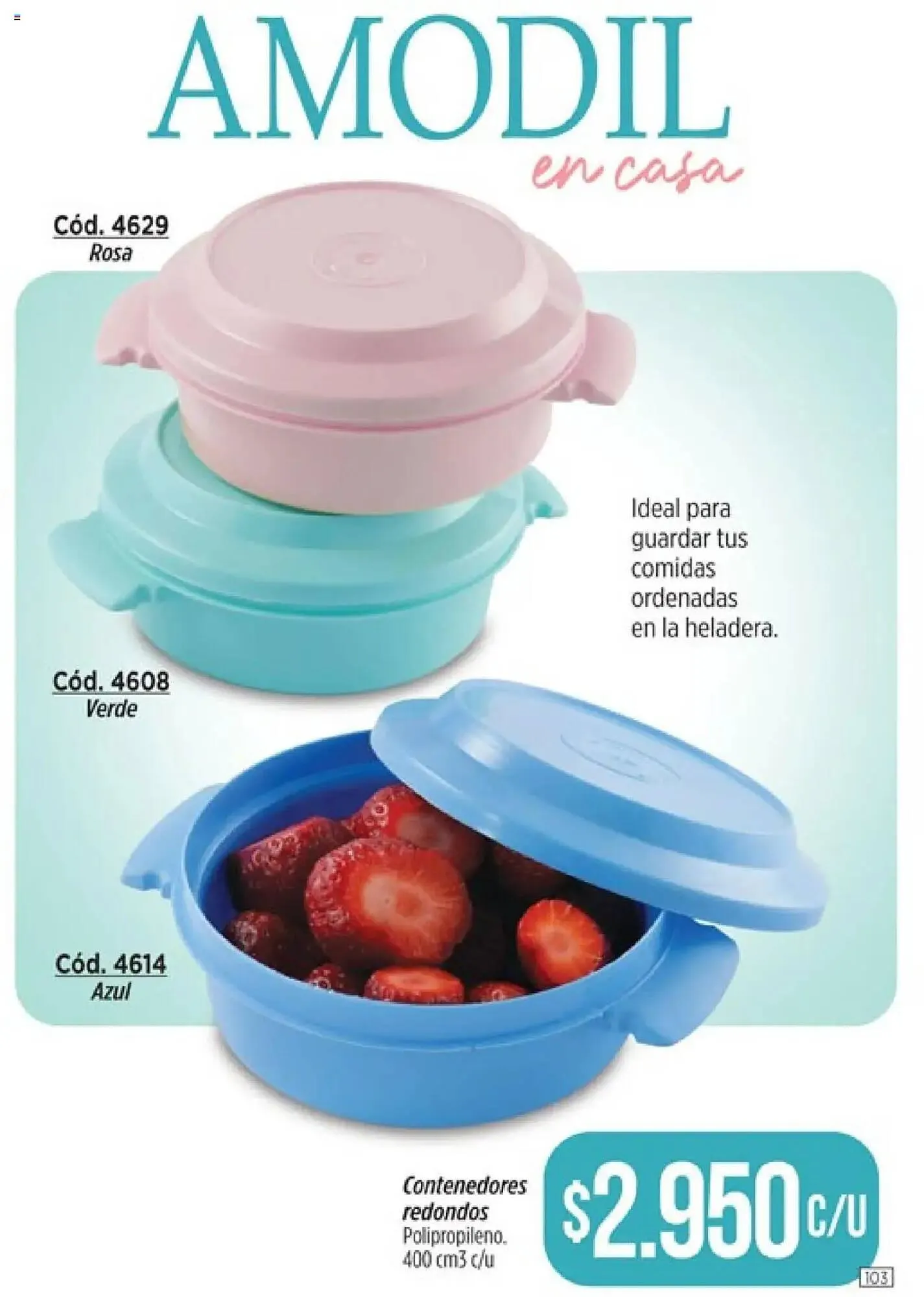 Ofertas de Catálogo Amodil 24 de marzo al 6 de abril 2025 - Página 417 del catálogo