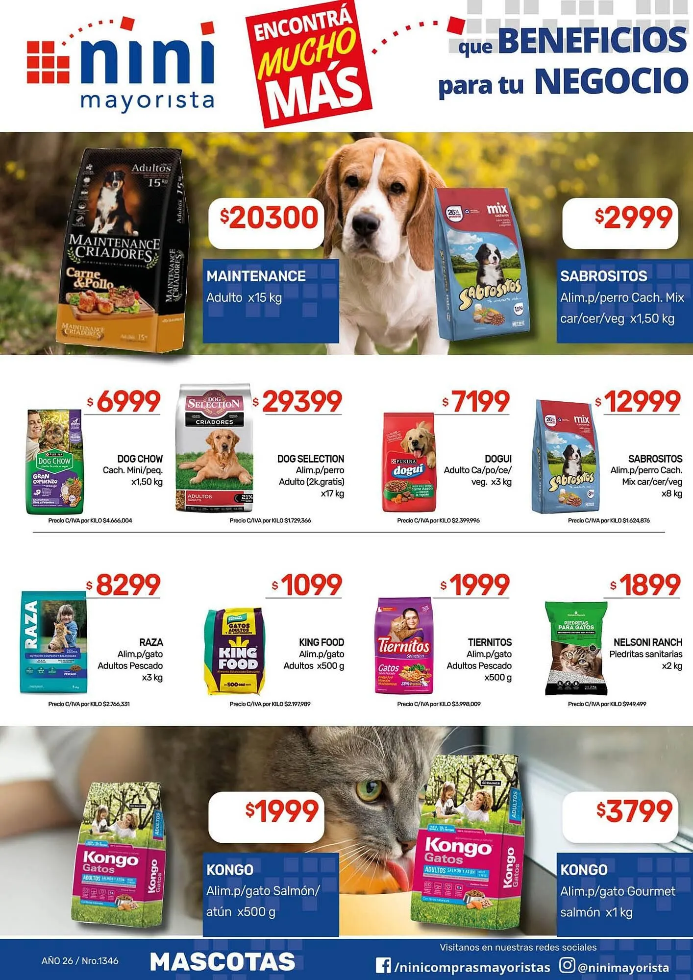 Ofertas de Catálogo Nini Mayorista 9 de febrero al 15 de febrero 2026 - Página 36 del catálogo