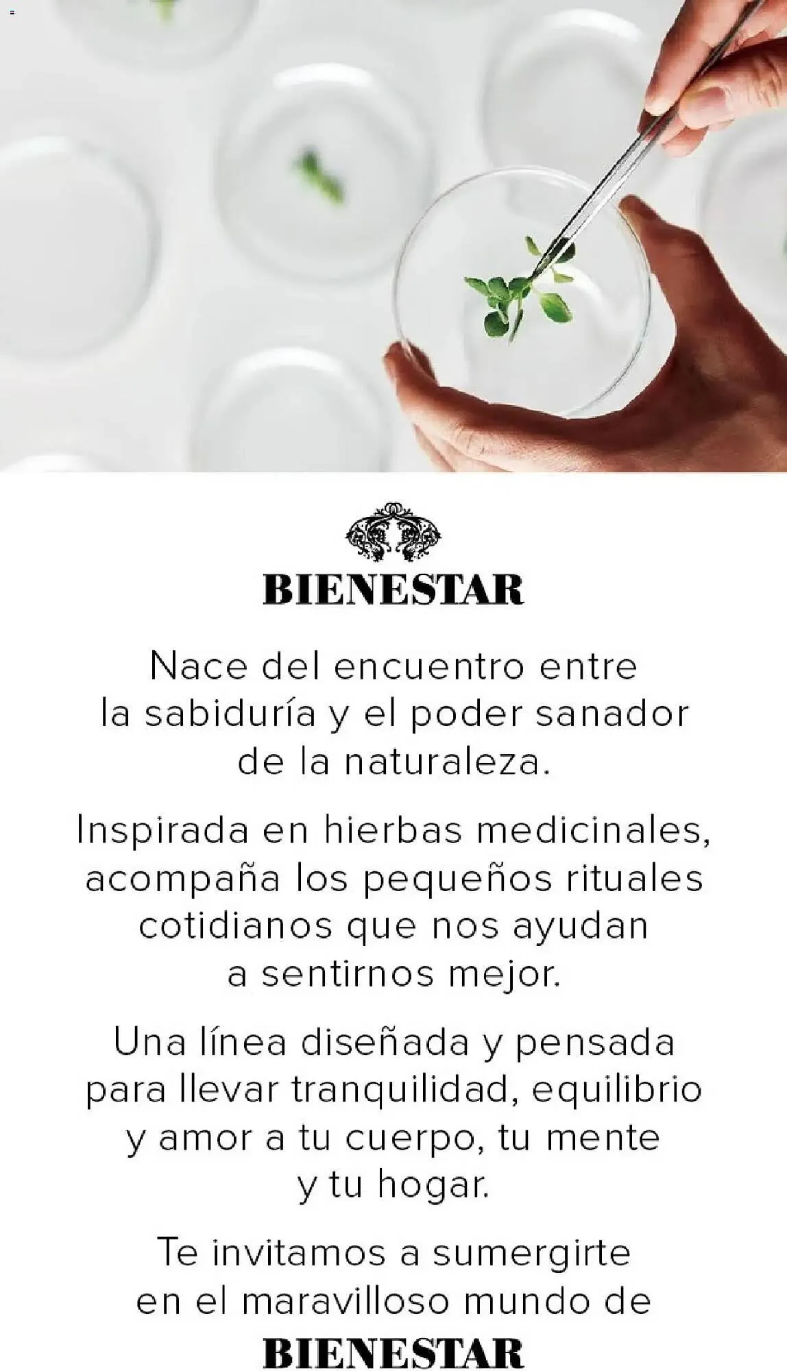 Ofertas de Catálogo Violetta Cosméticos 23 de abril al 16 de mayo 2026 - Página 2 del catálogo