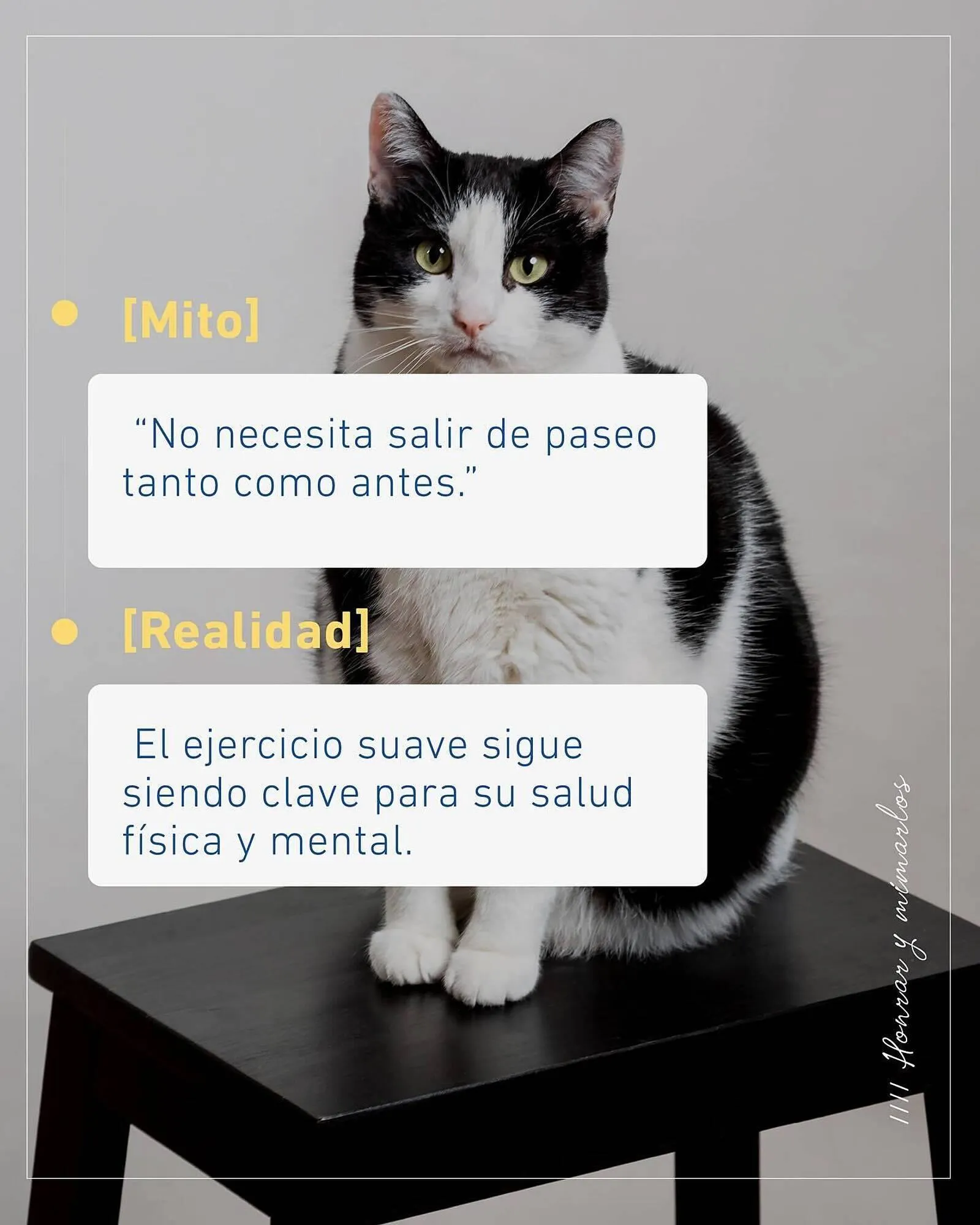 Ofertas de Catálogo Puppis 1 de agosto al 2 de agosto 2025 - Página 3 del catálogo