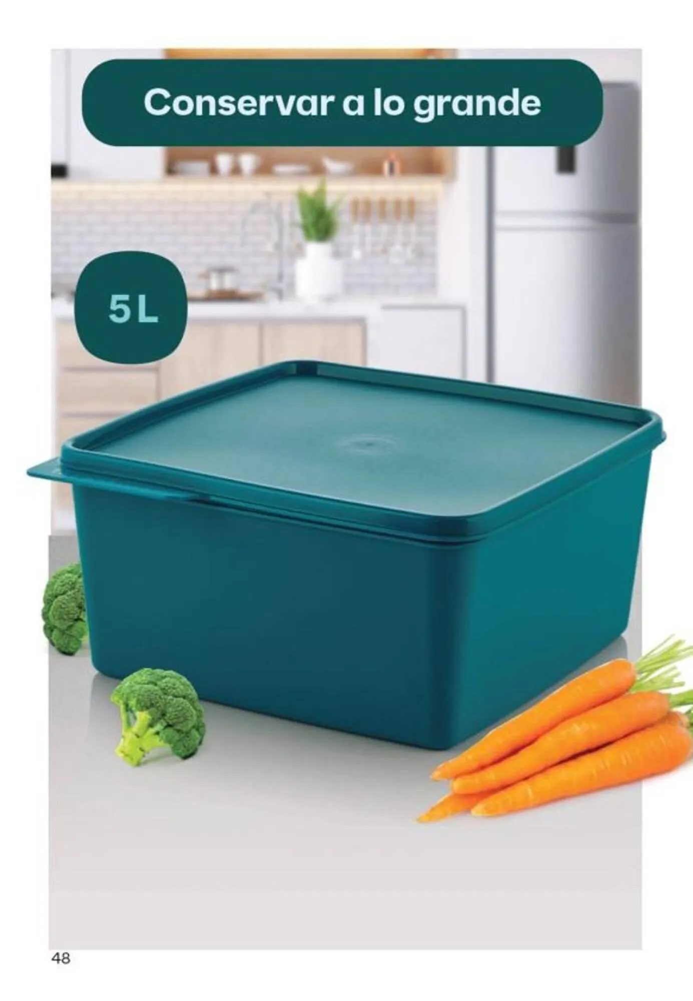 Ofertas de Catálogo Tupperware 10 de mayo al 31 de mayo 2025 - Página 49 del catálogo
